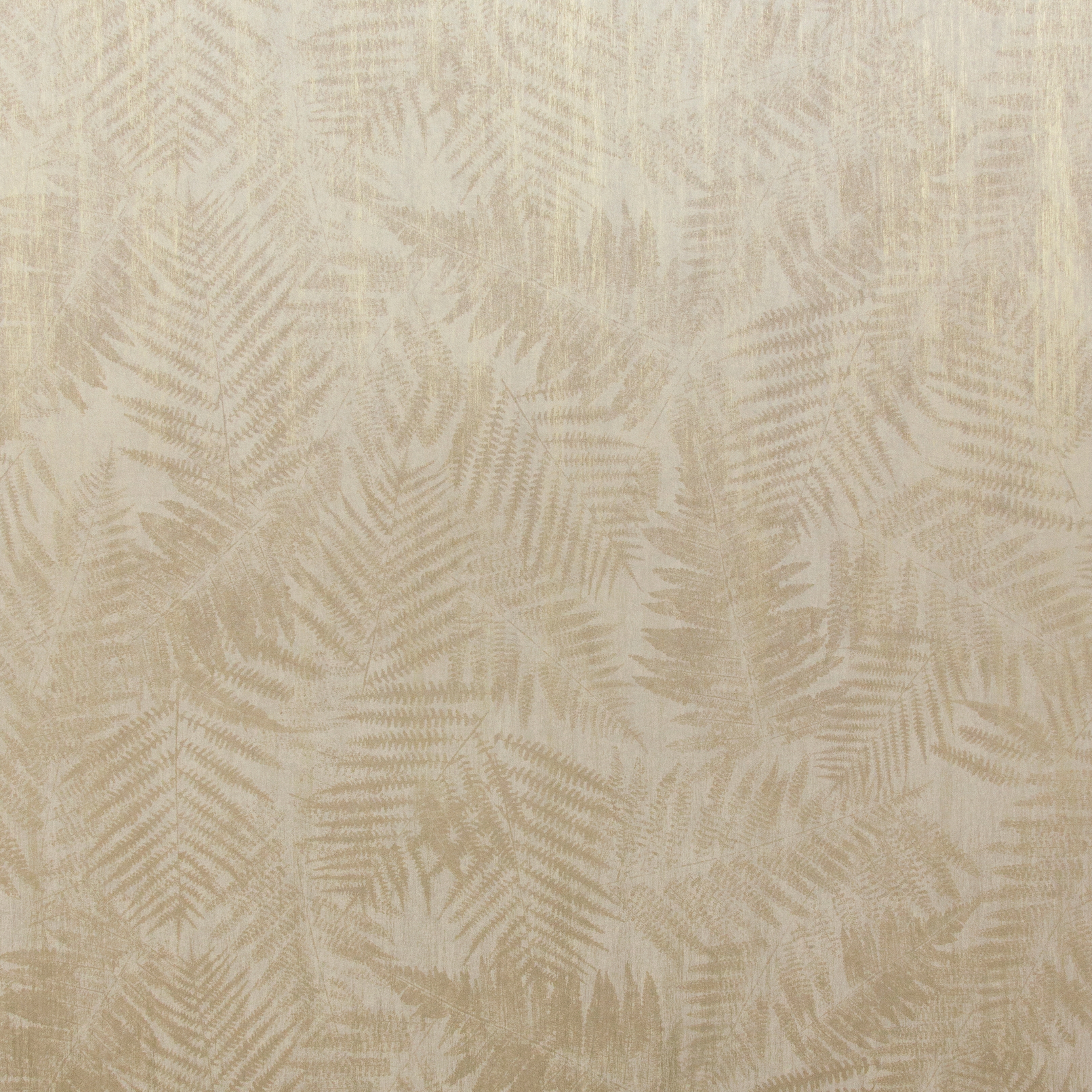 Elixir fern ELA302