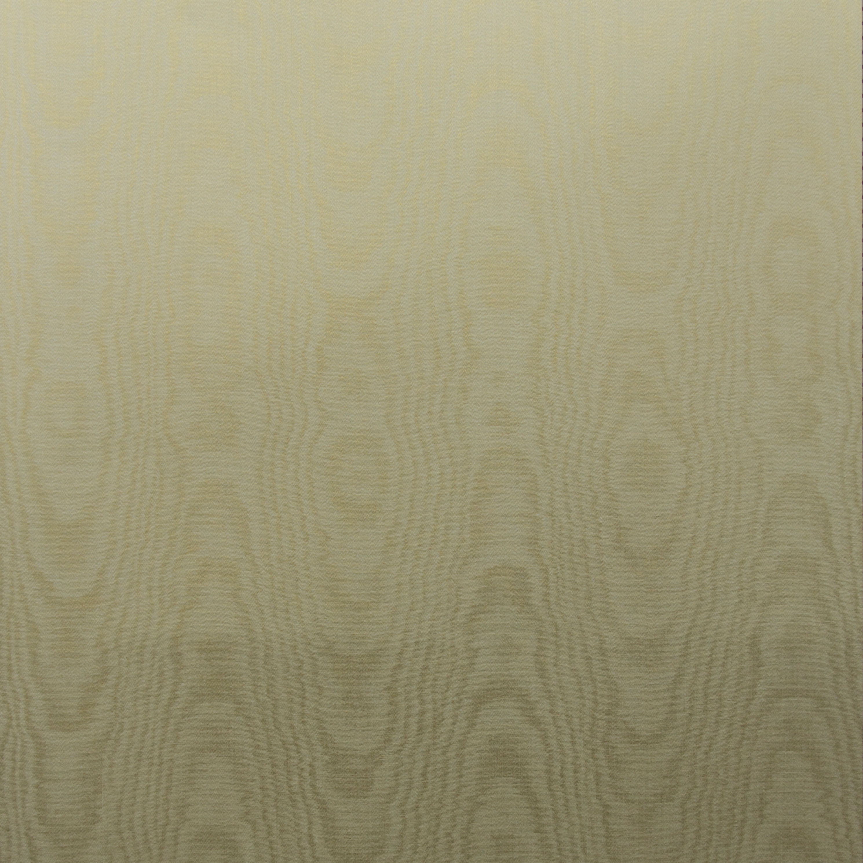 Shalimar moiré | SHA3306