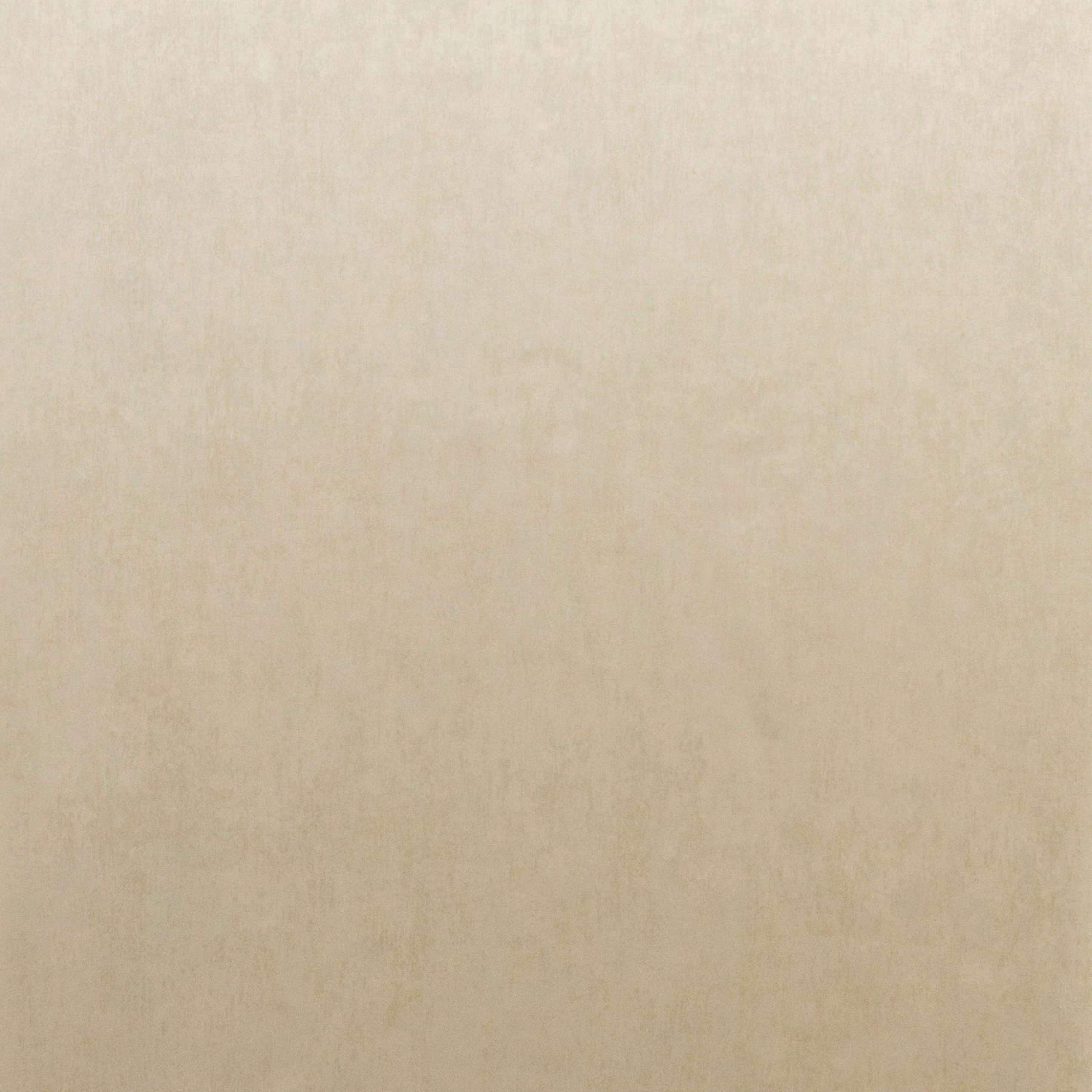 Mostra il prodotto Palazzo venetian plaster PAL2640 del produttore Omexco