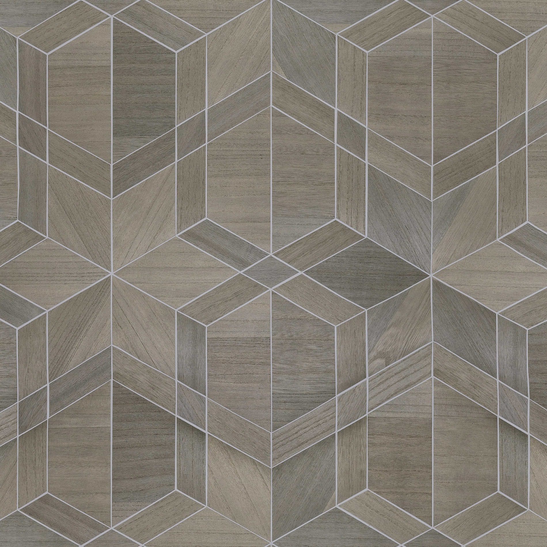 Sycamore Cubist | SYC1120