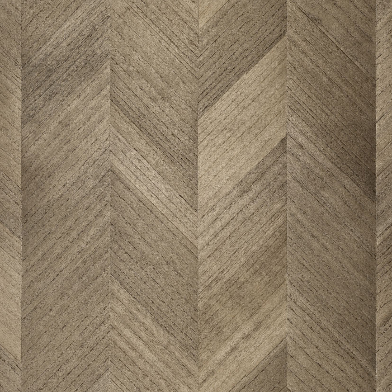 Sycamore Chevron | SYC3120
