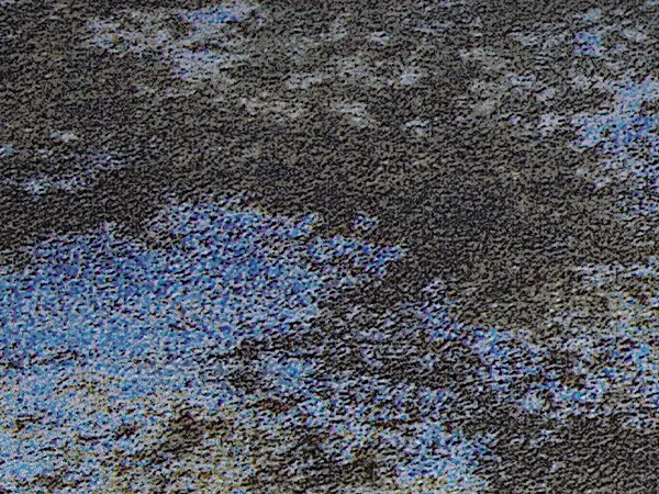 INALCO - Fusion Acuario Natural