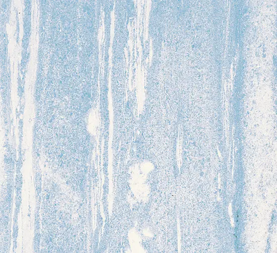 Bigelli Marmi - Azul Cielo marble