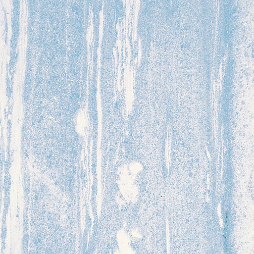 Produkt Azul Cielo Marmor des Herstellers Bigelli Marmi anzeigen