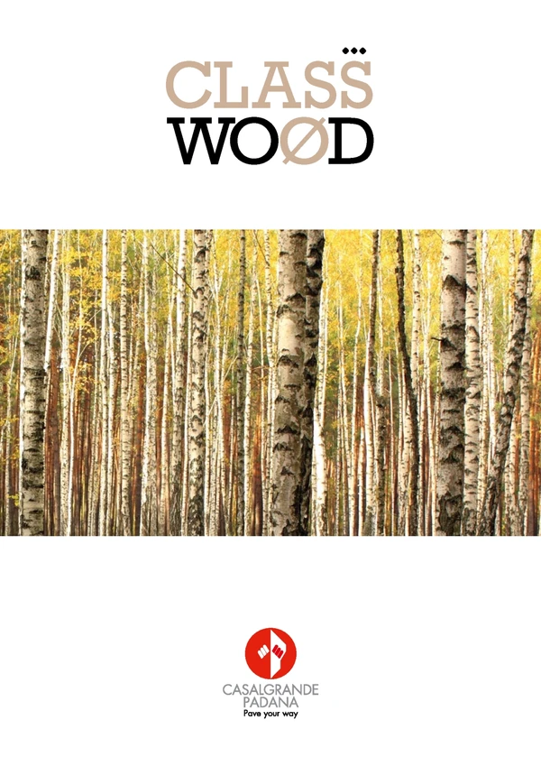 Image d’aperçu du fichier Classwood