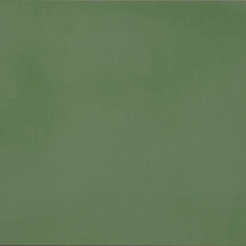 R-Evolution Green