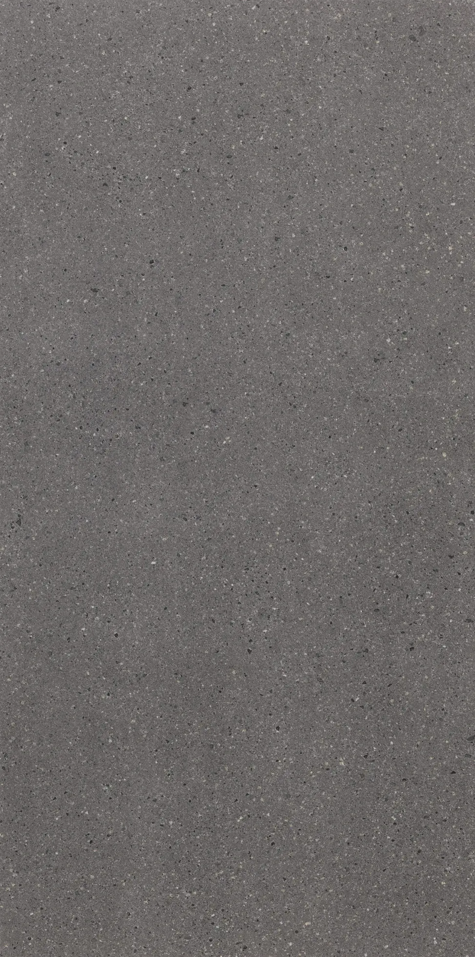 Casalgrande Padana - Stonetech Black