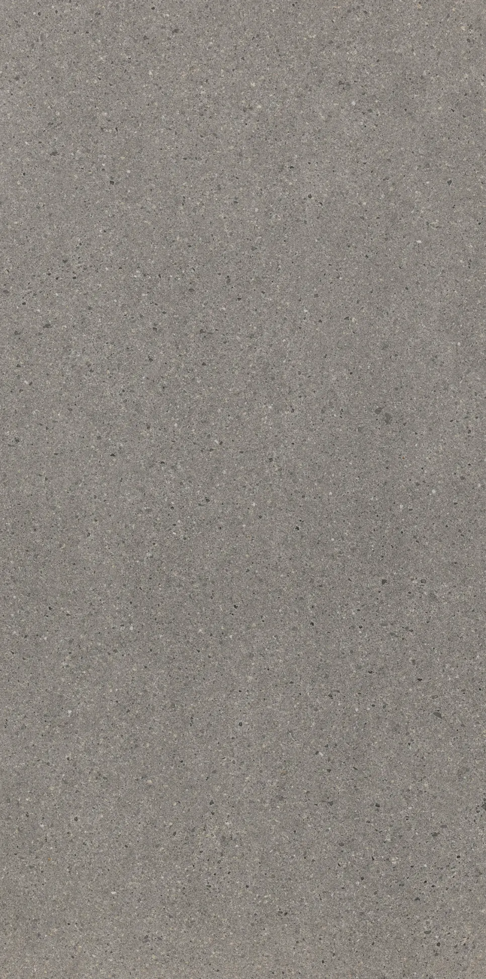 Casalgrande Padana - Stonetech Grey