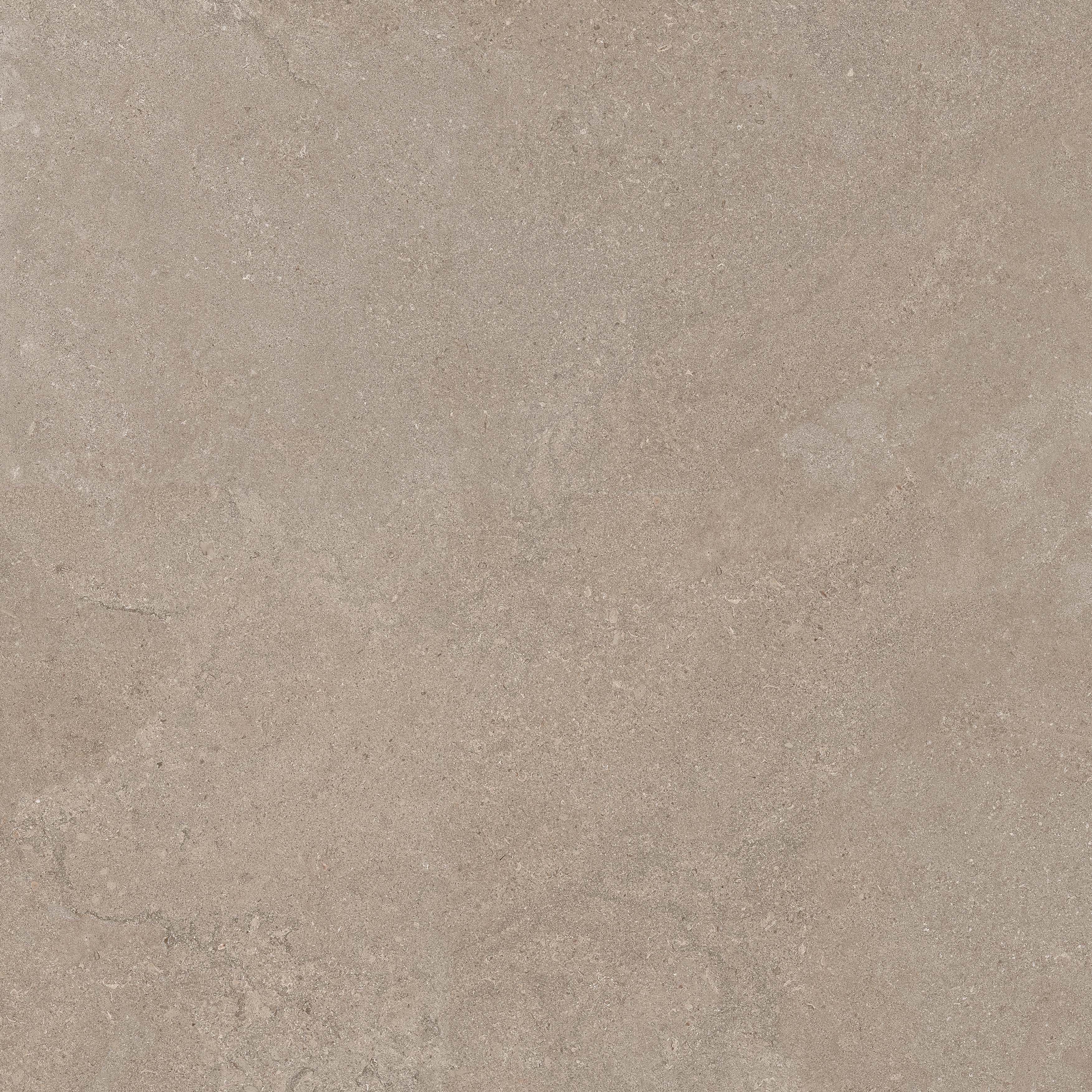 Lithos Tortora