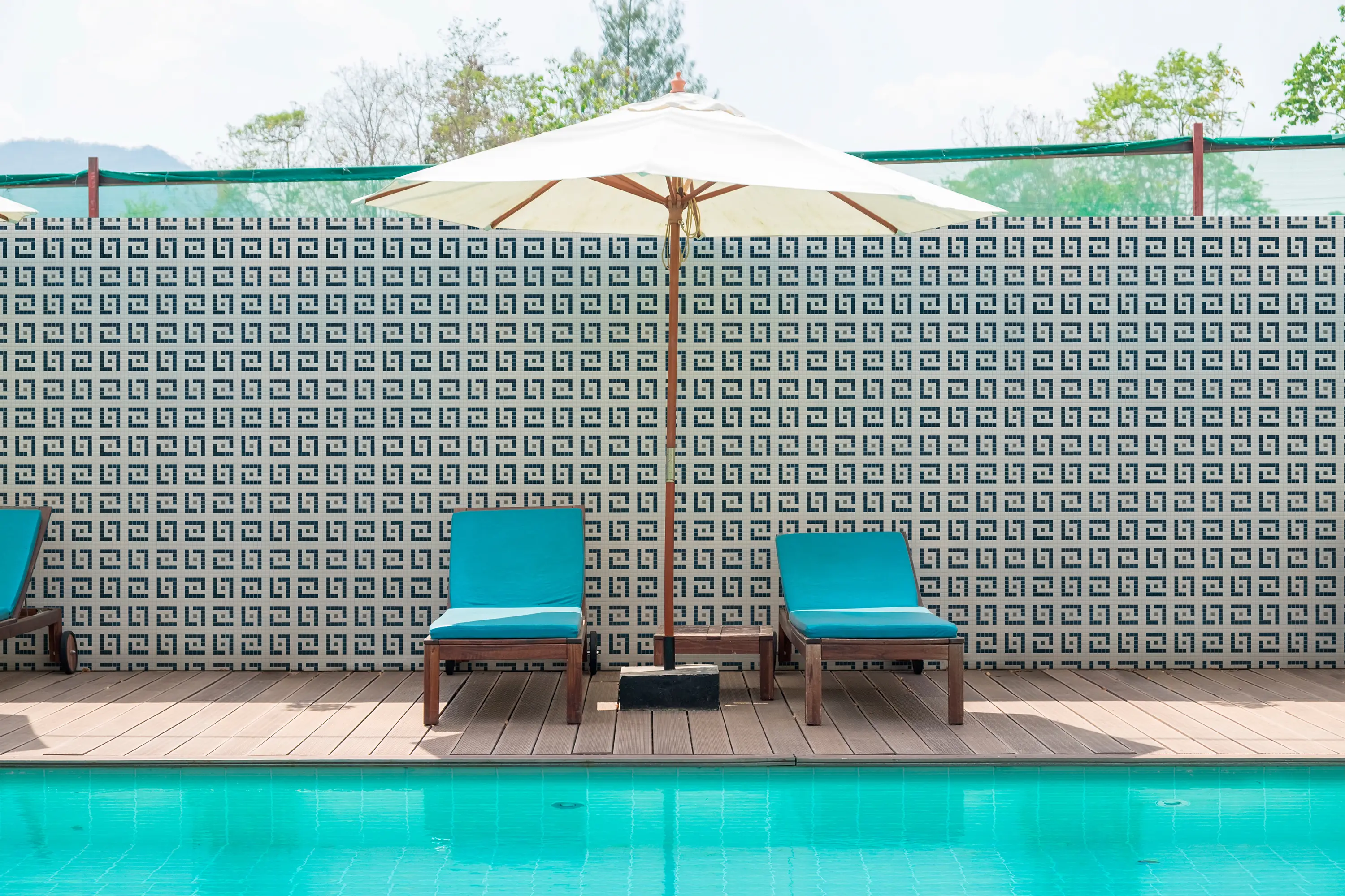 Hisbalit - Palm Springs - Palm 4