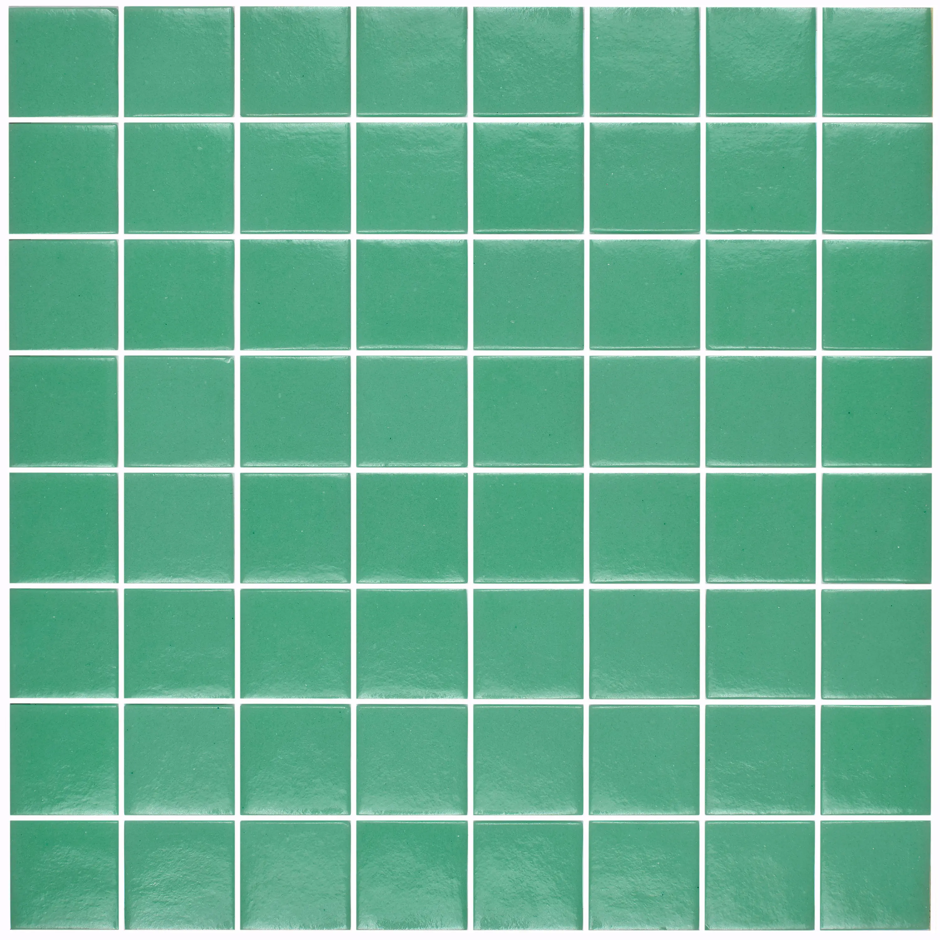 Hisbalit - Starlight - Orion