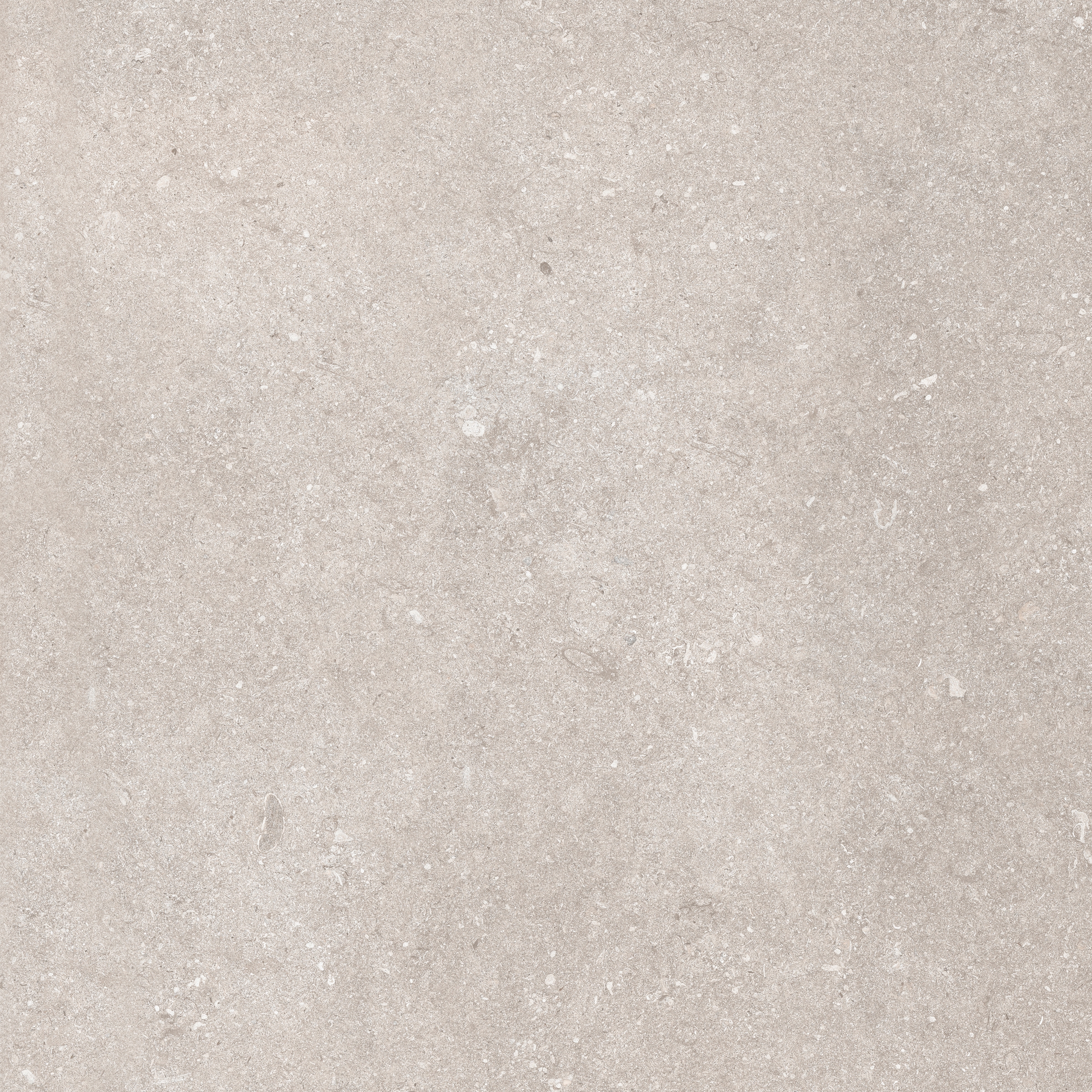 Le Reverse | Dune Elegance