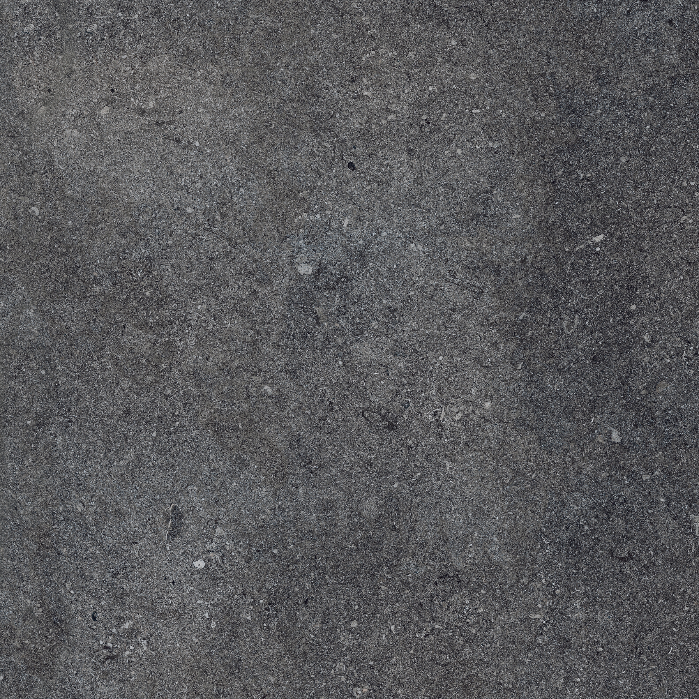 Le Reverse | Nuit Elegance