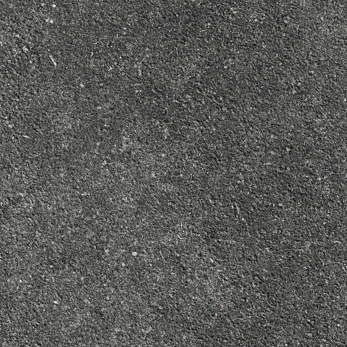 Le Reverse | Nuit Carved