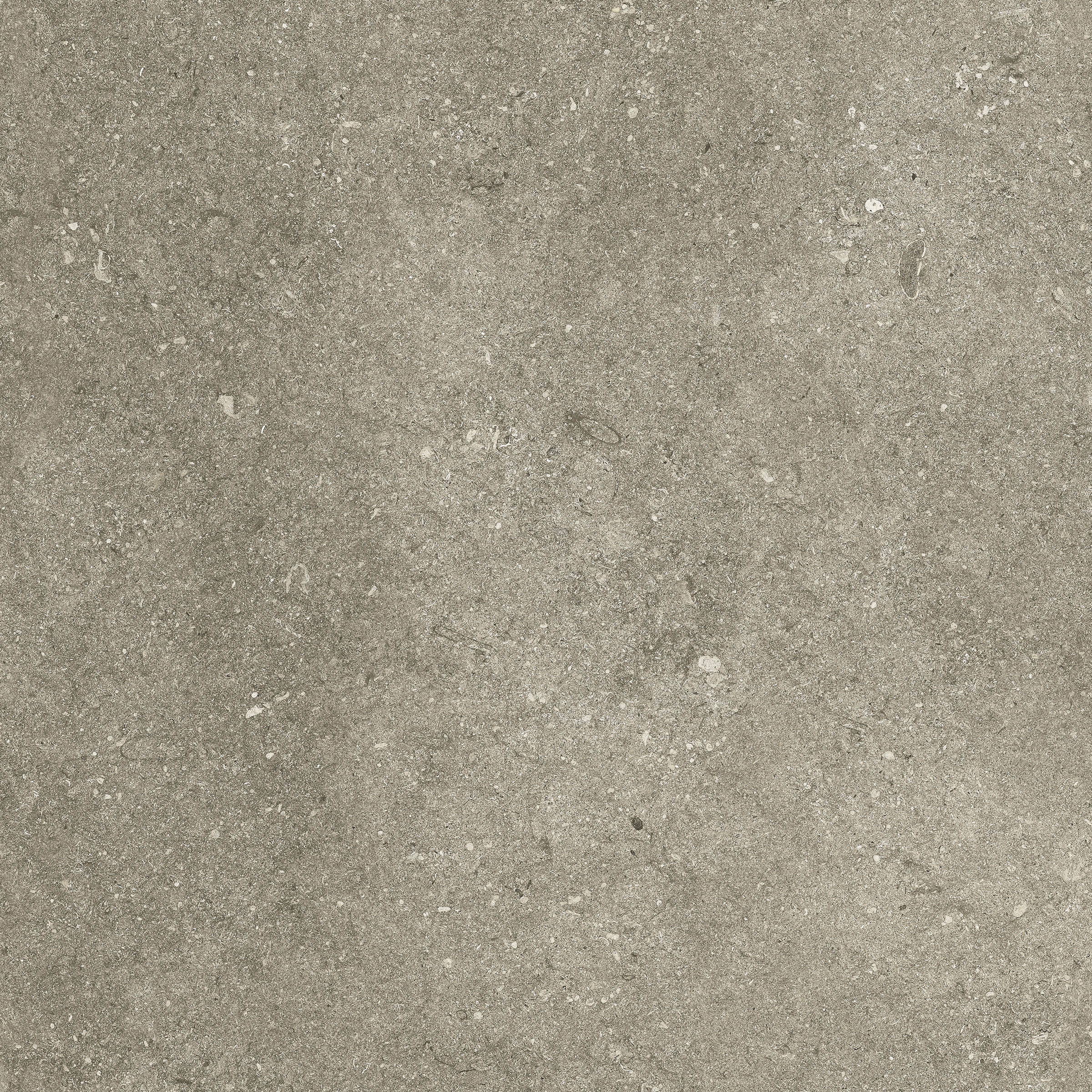 Le Reverse | Taupe Elegance