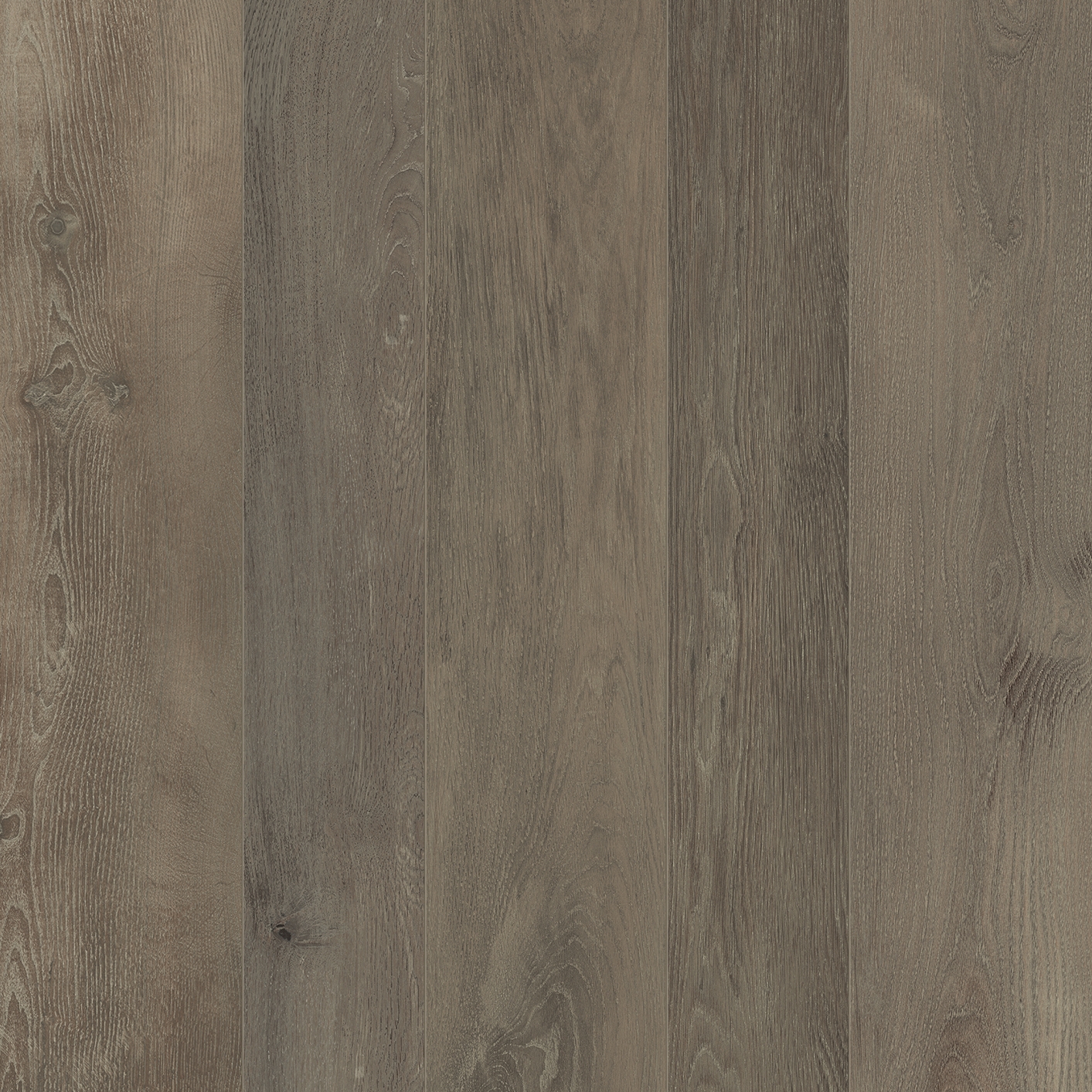Les Bois | Bocote