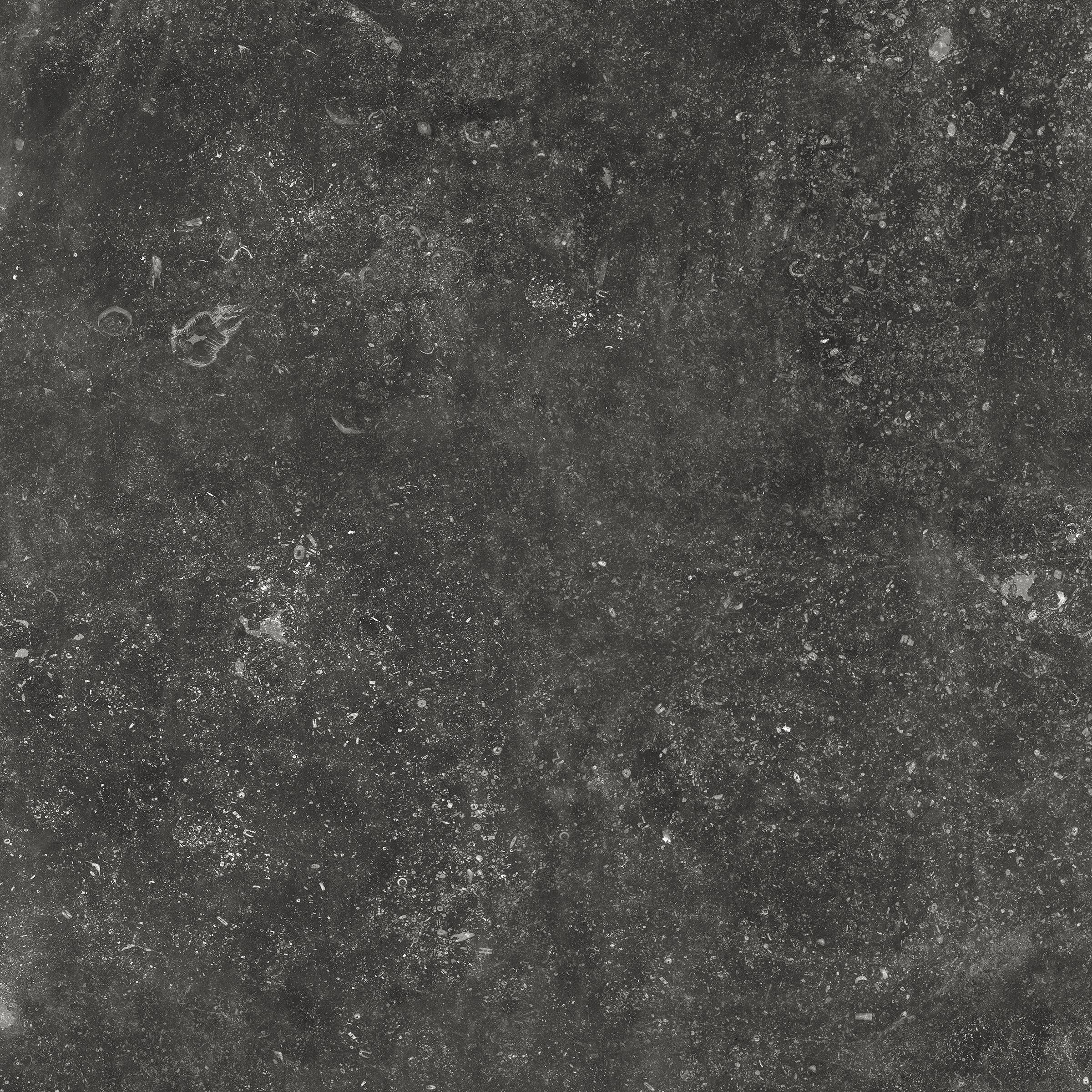 Carriere du Kronos | Namur Nobile