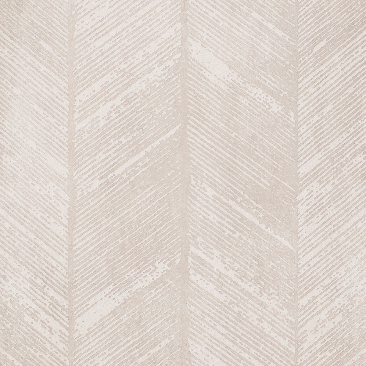 Prima Materia | Lisca Cenere