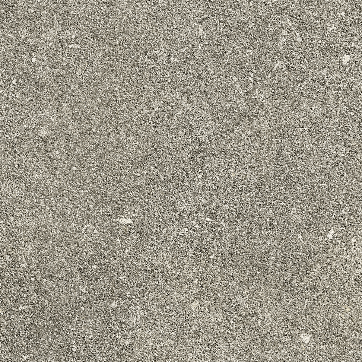 Ske 2.0 | Taupe 2.0