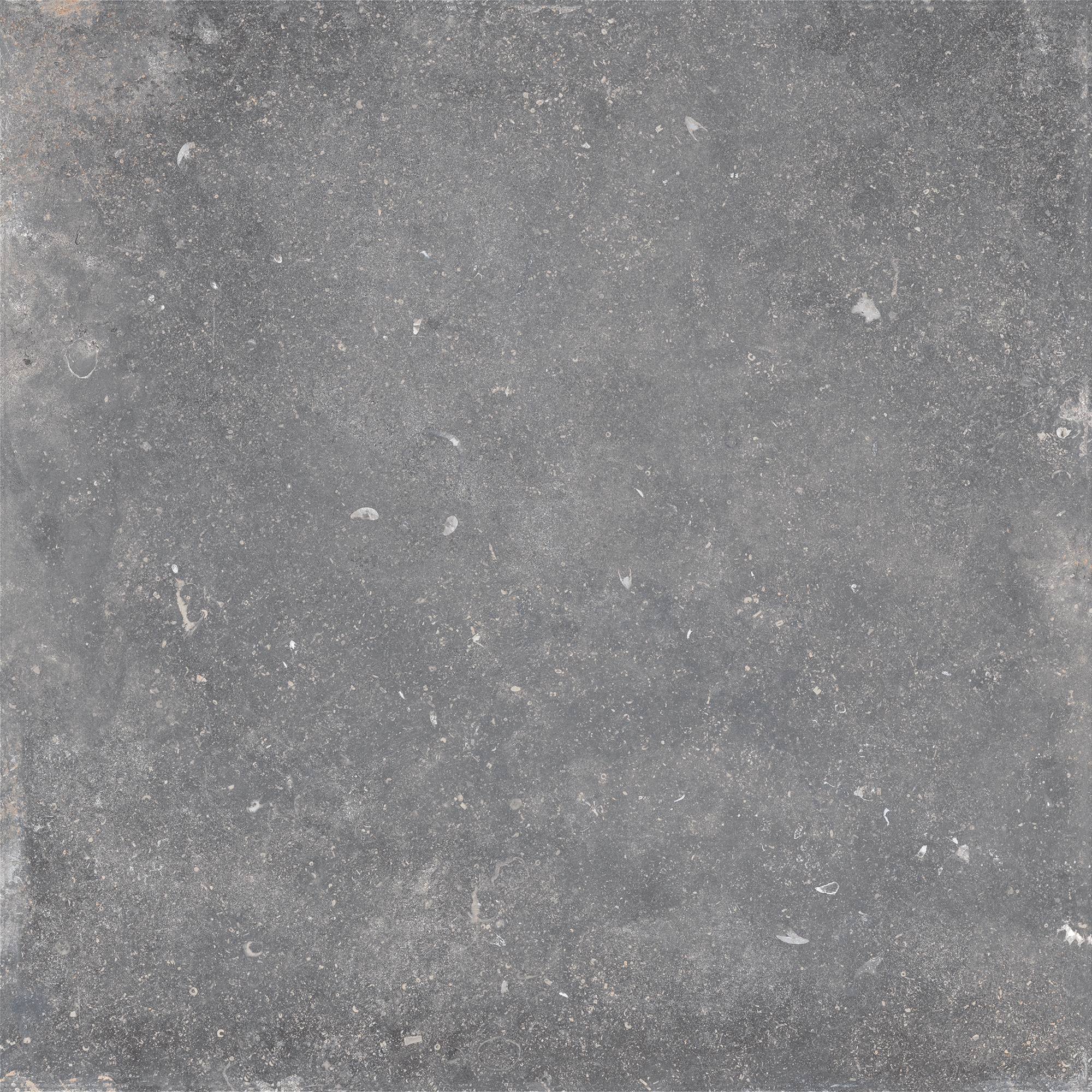 Evolution | Gris Fonce