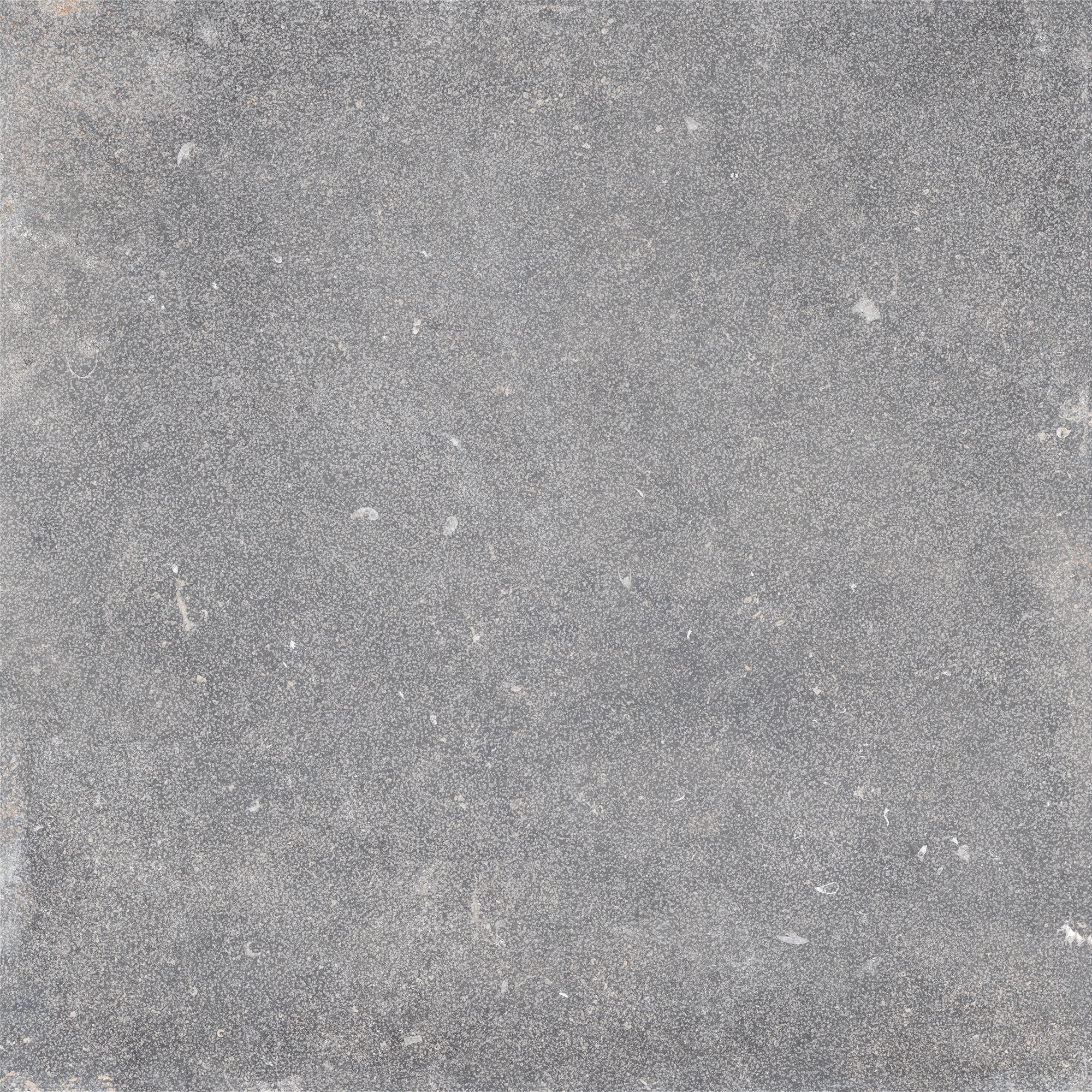 Ske 2.0 | Evo Gris Fonce