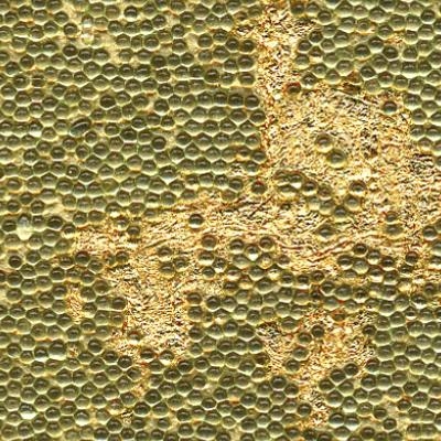 Beadazzled Leaf™ Green Leaf