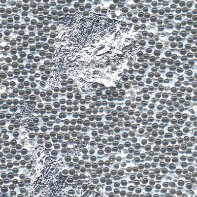 Beadazzled Leaf™ Sylvie Leaf