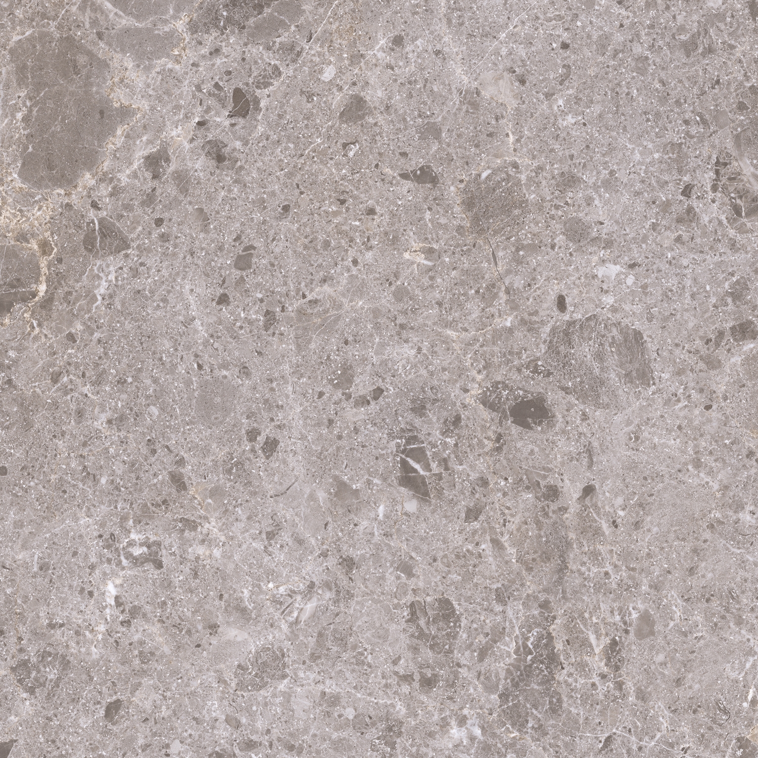 Artic | Gris