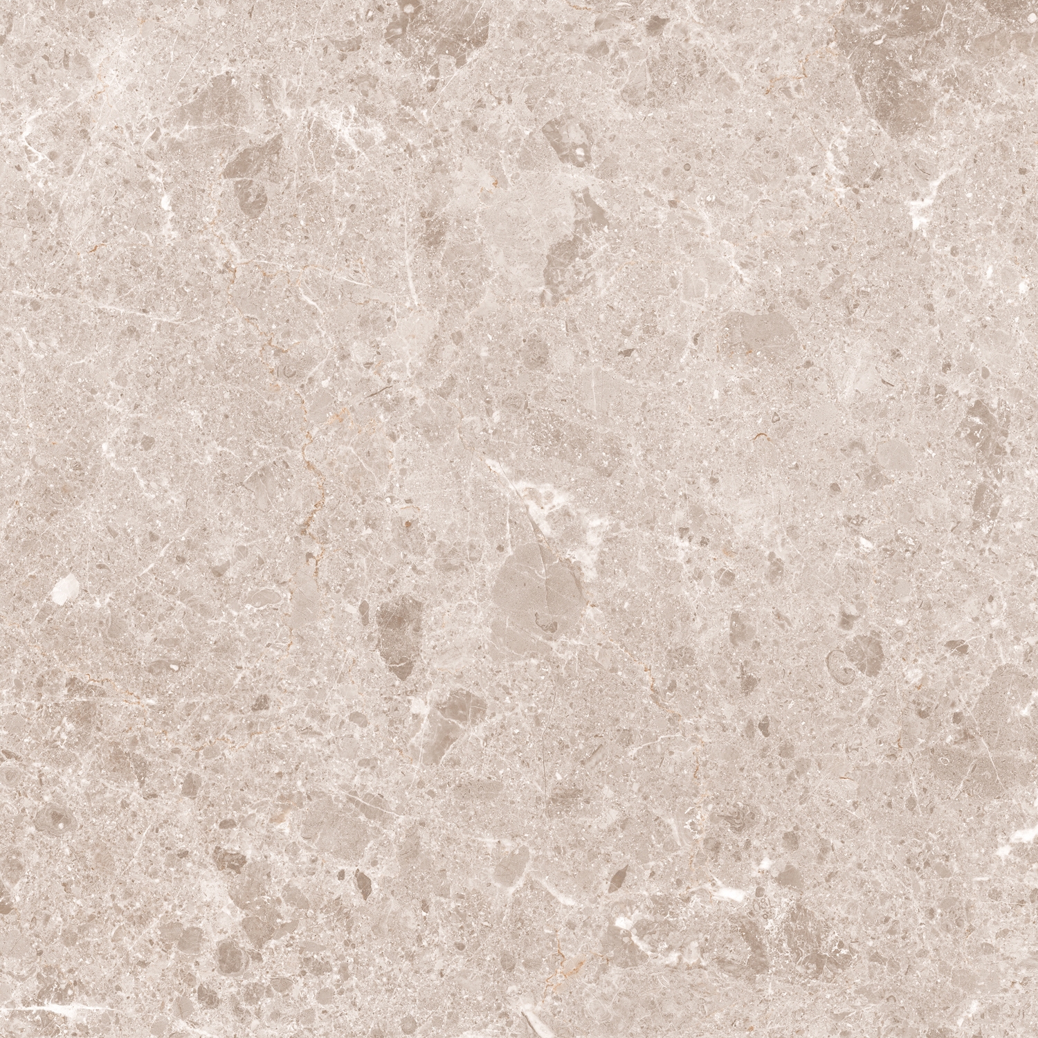Artic | Beige