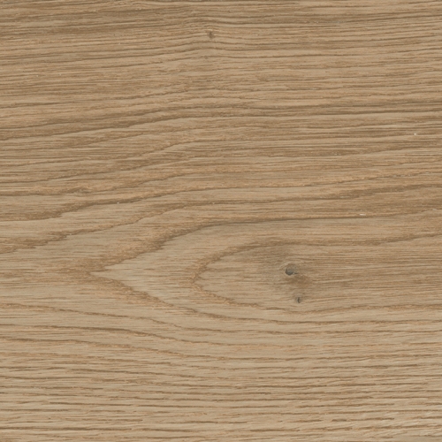 Selva | Roble