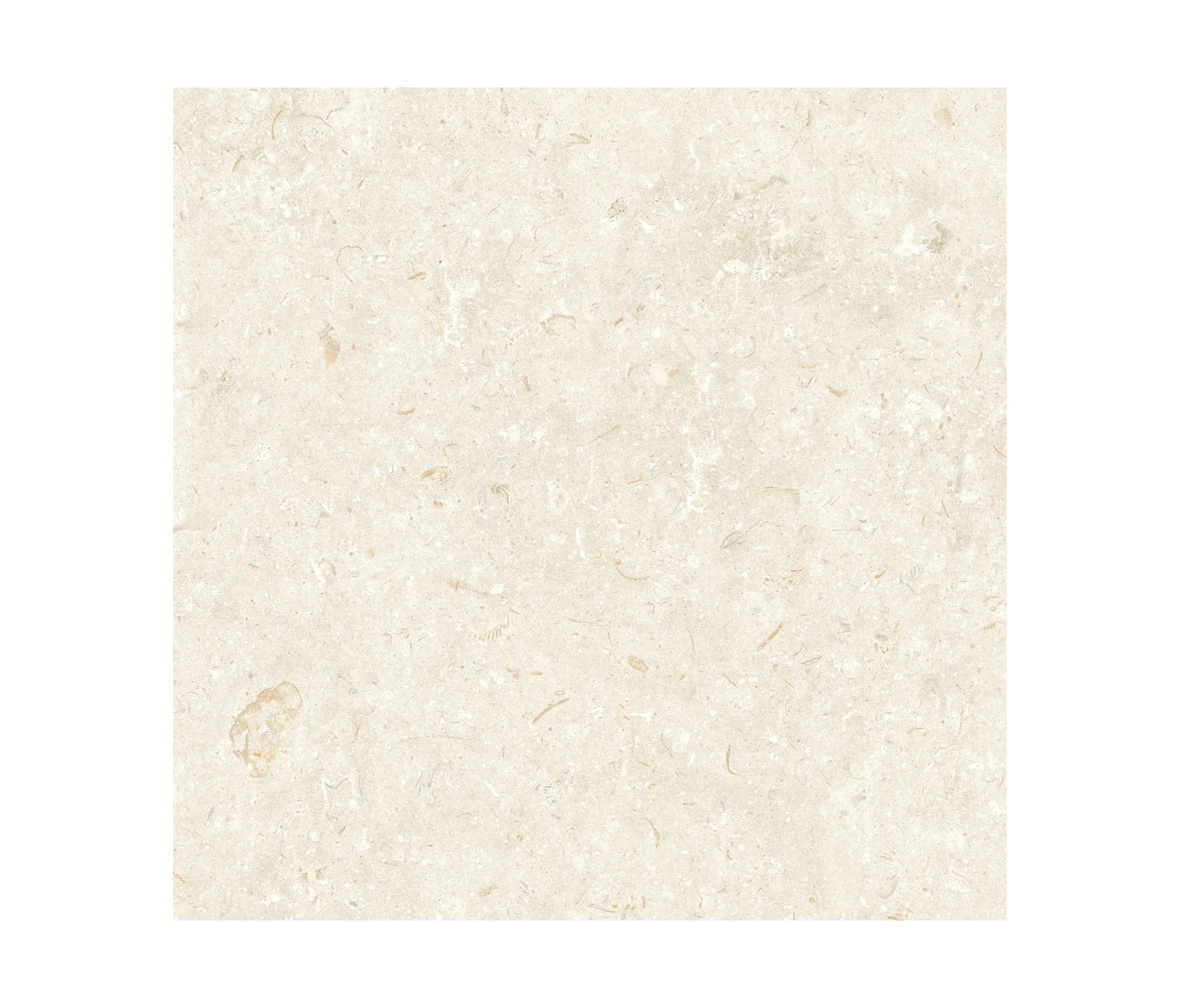 Grespania Ceramica - Fósil | Bone