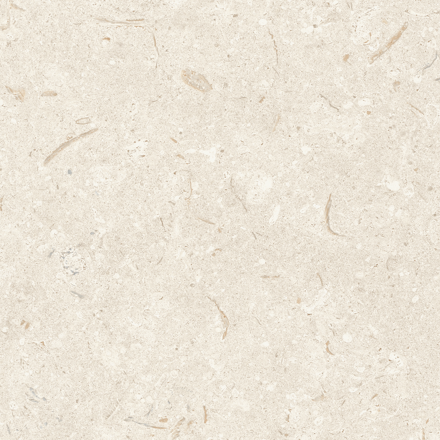 Display product Fósil | Bone from manufacturer Grespania Ceramica