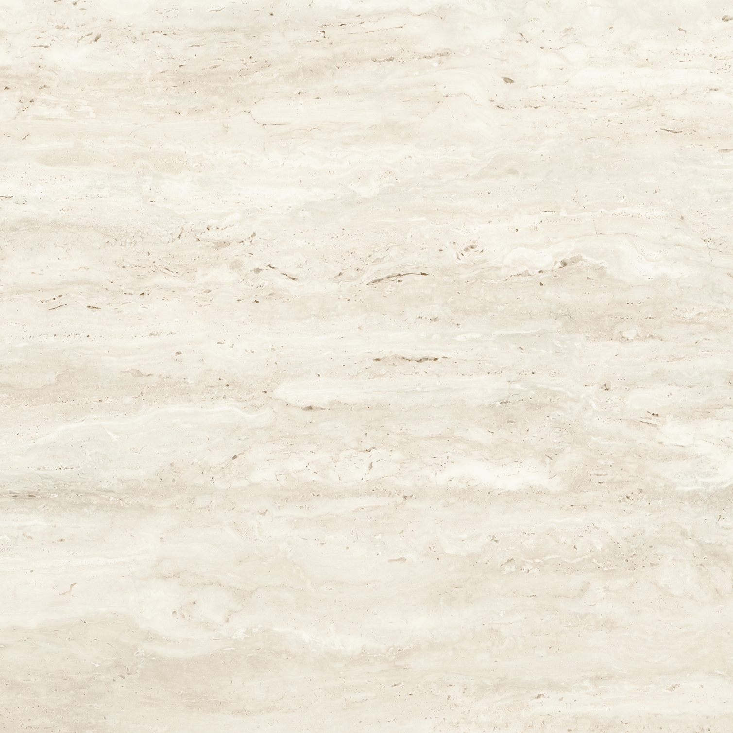 Capitolio | Vein Bone
