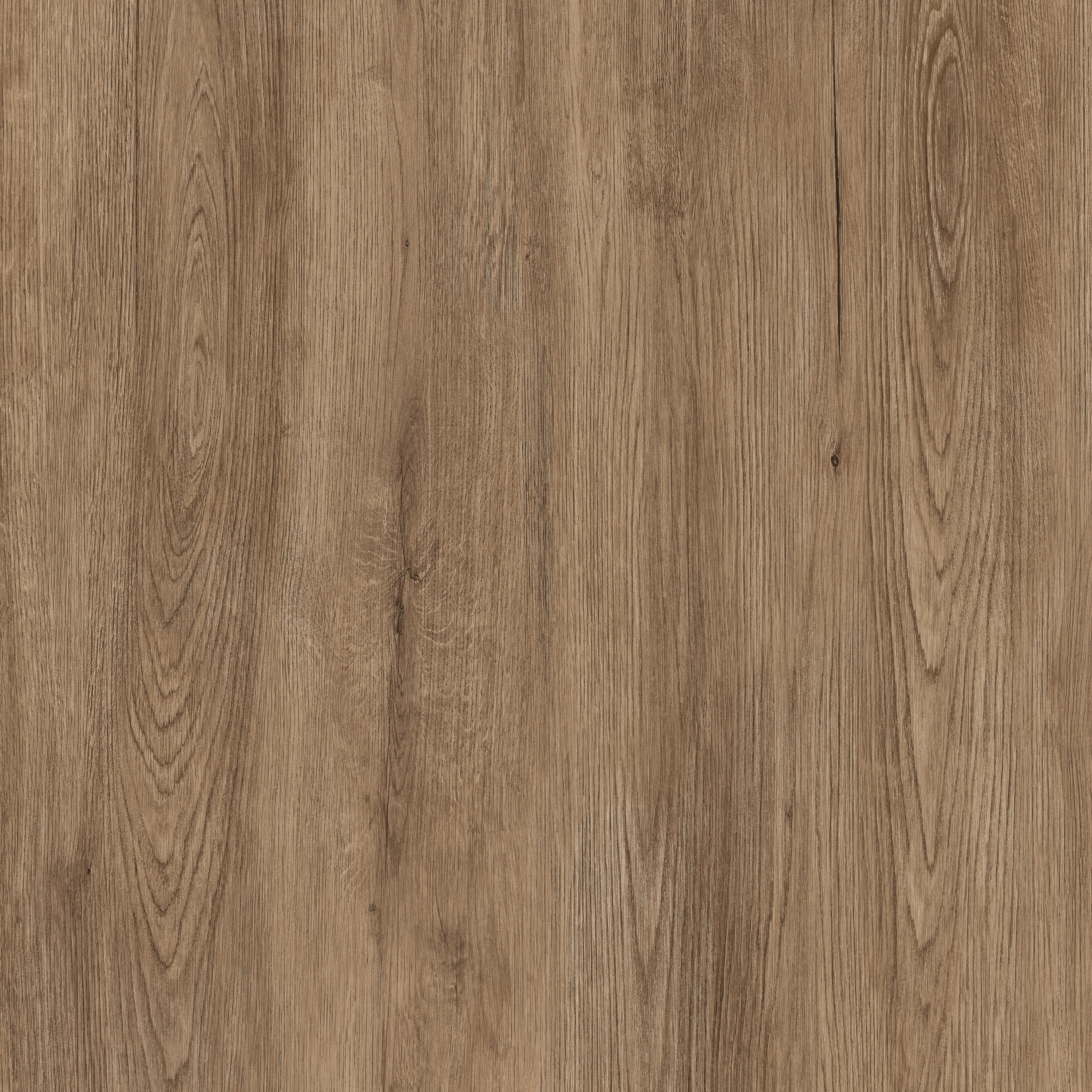 Jungla | Iroko - COVERLAM