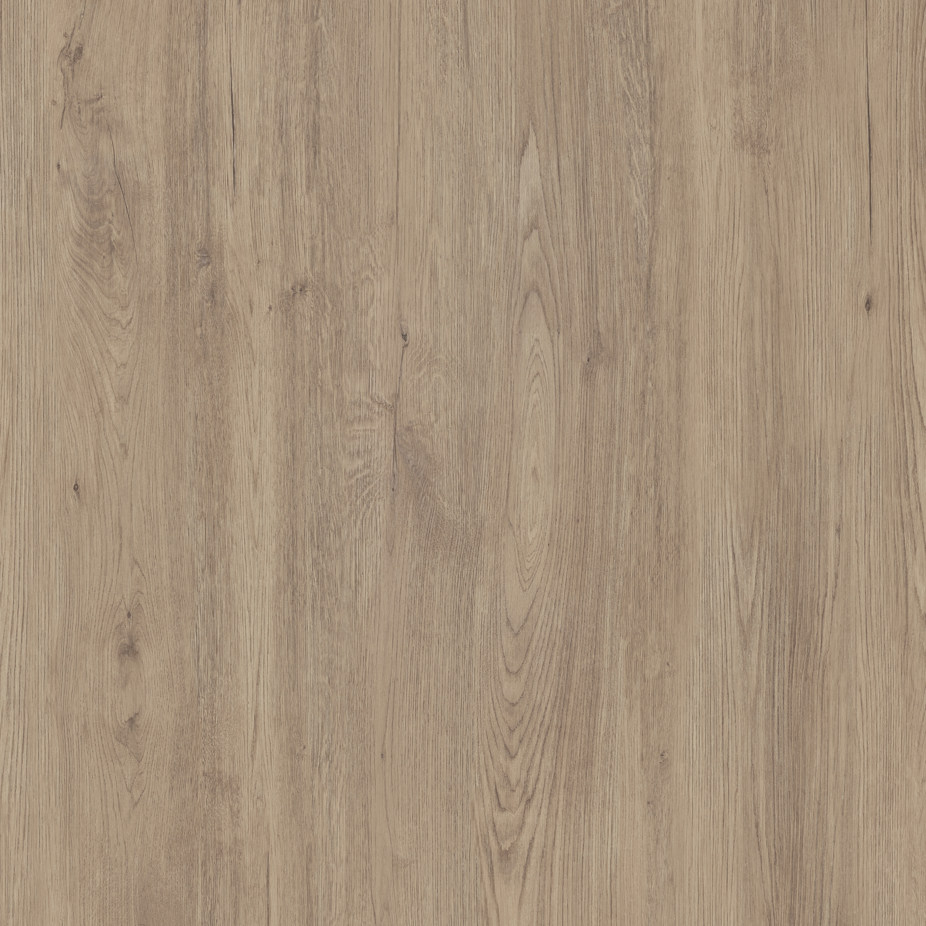 Jungla | Roble - COVERLAM TOP