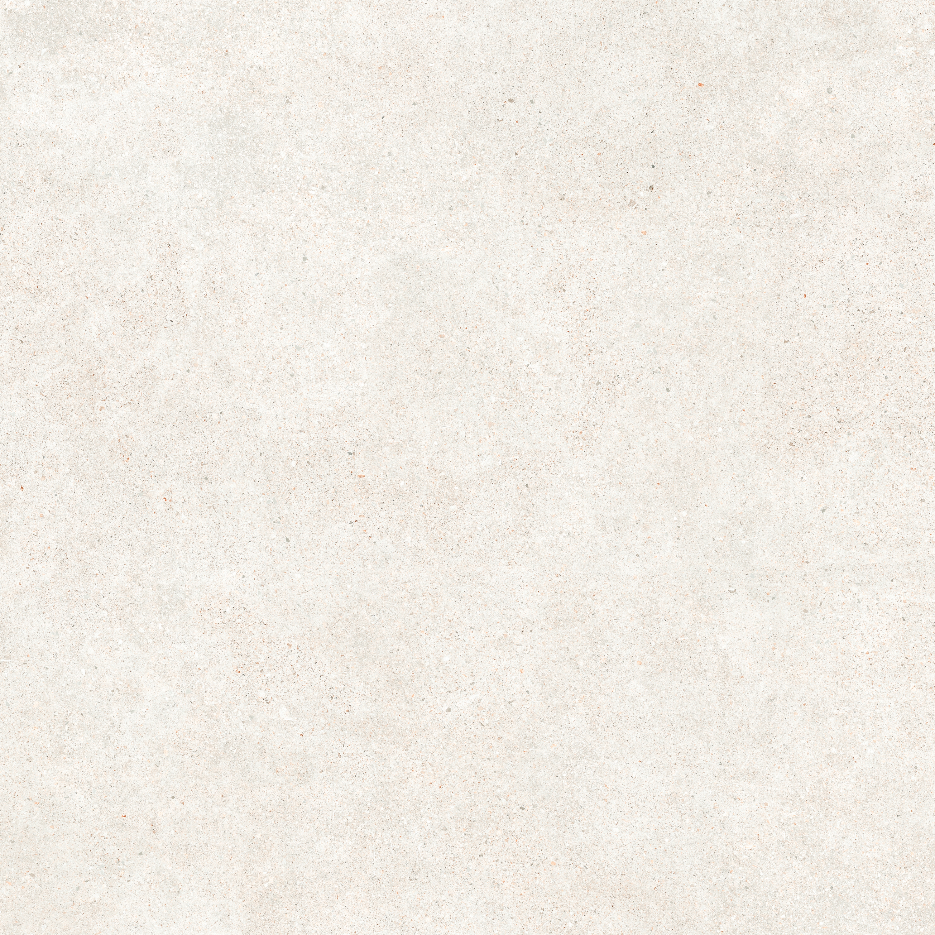Pangea | Arena
