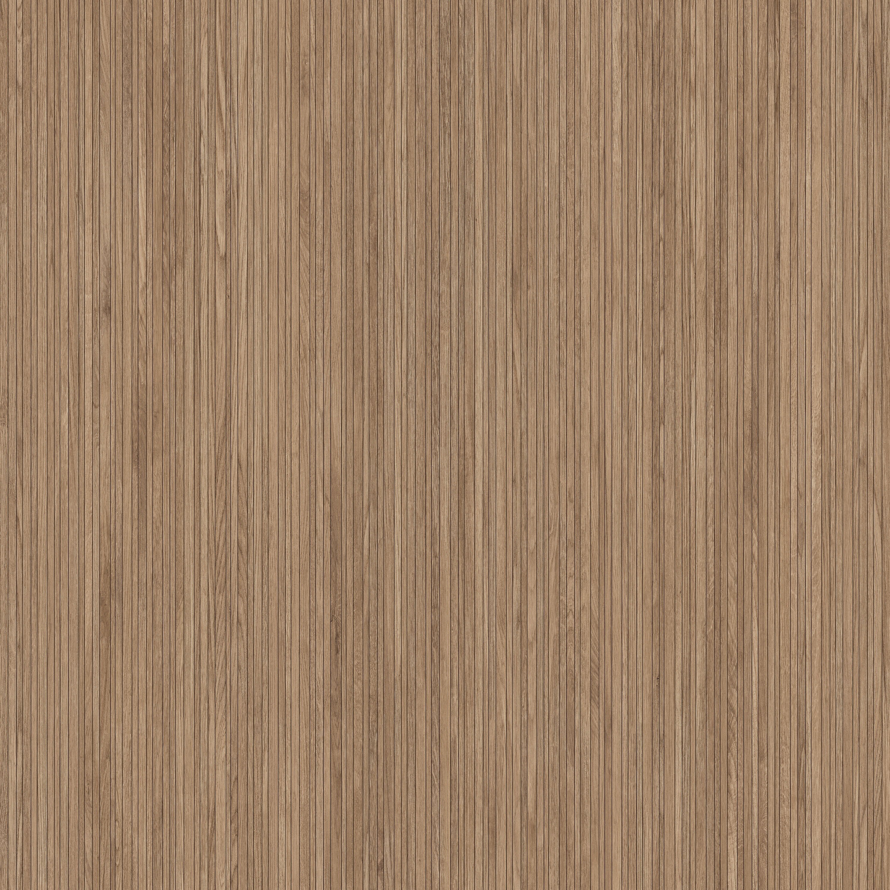 Liana | Iroko