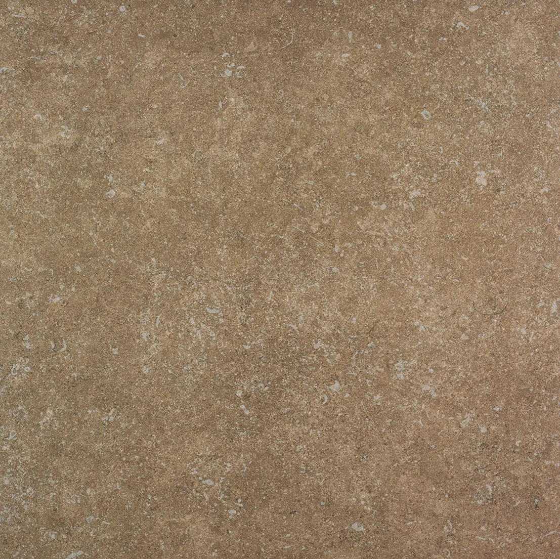 Crossville - Bluestone Arizona Brown