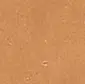 Sadlerstone - Contemporary Smooth Valencia