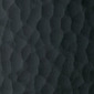 Hammered Wood Black Oak 991