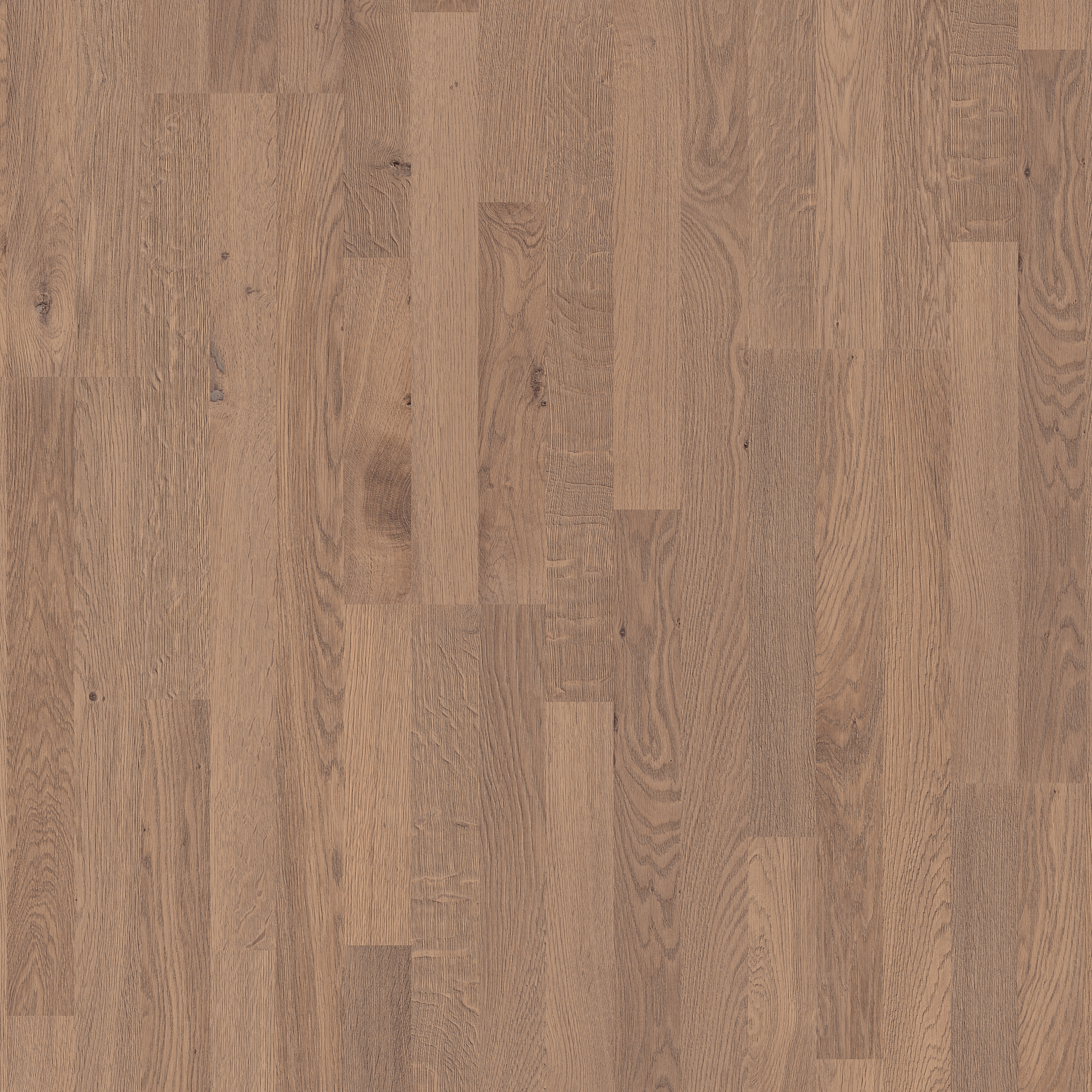 Display product Classic Plank natural wild oak 3-strip from manufacturer Pergo