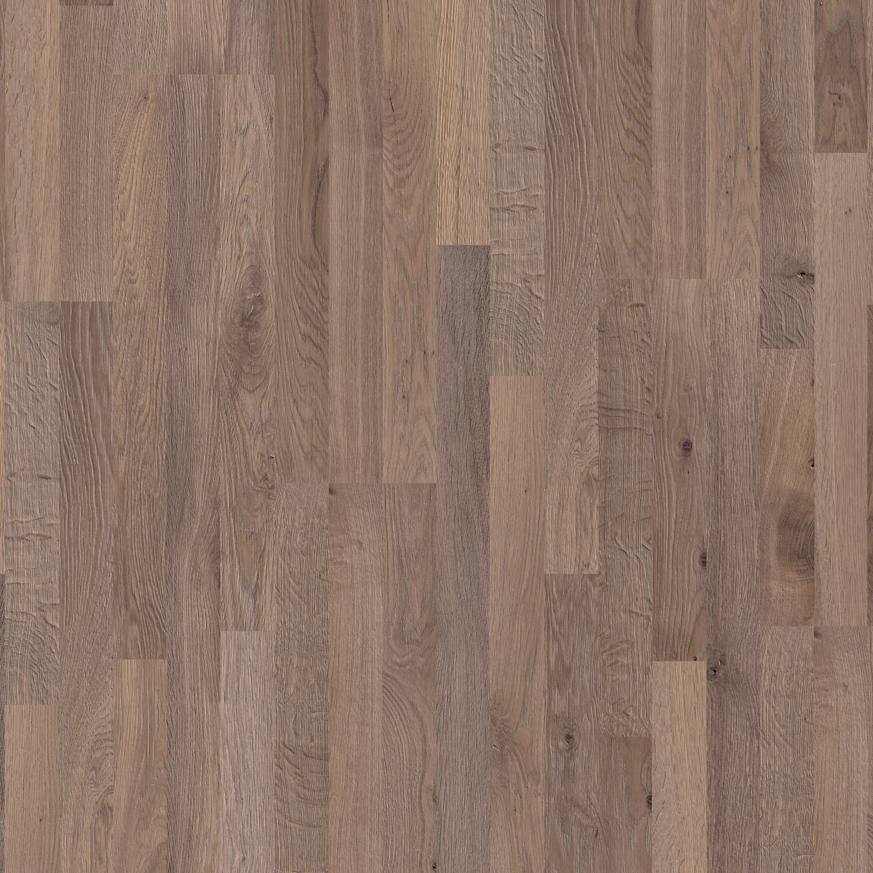 Display product Domestic Elegance lounge oak 3-strip from manufacturer Pergo