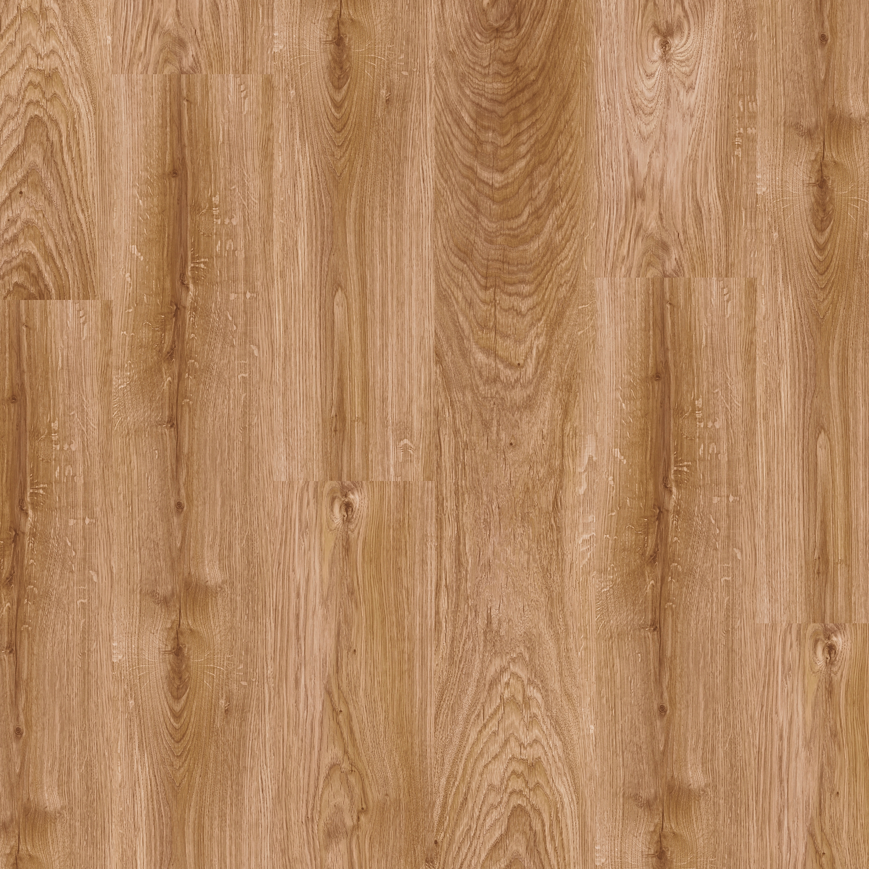 Display product Domestic Elegance oak from manufacturer Pergo