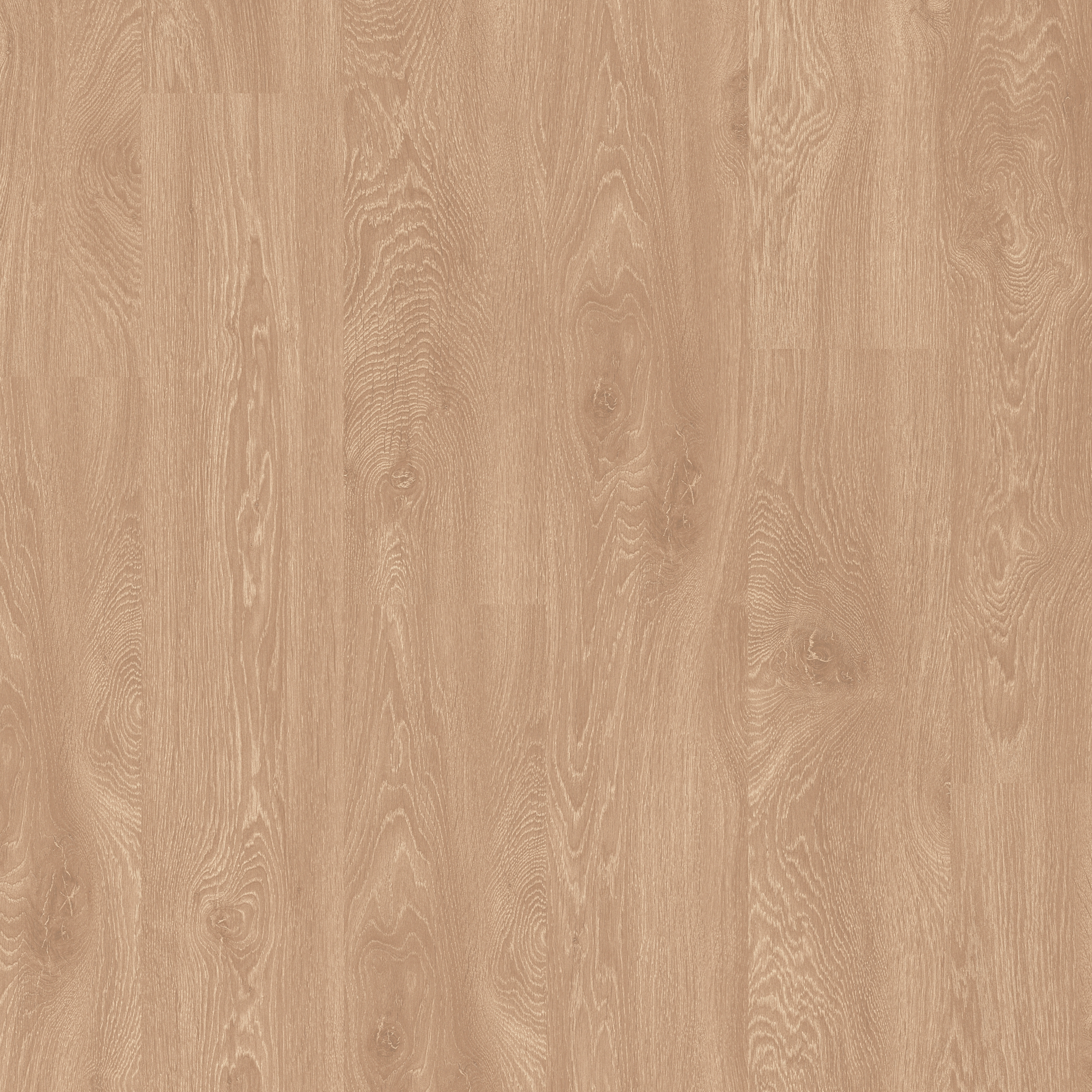 Display product Domestic Extra chalked oak from manufacturer Pergo