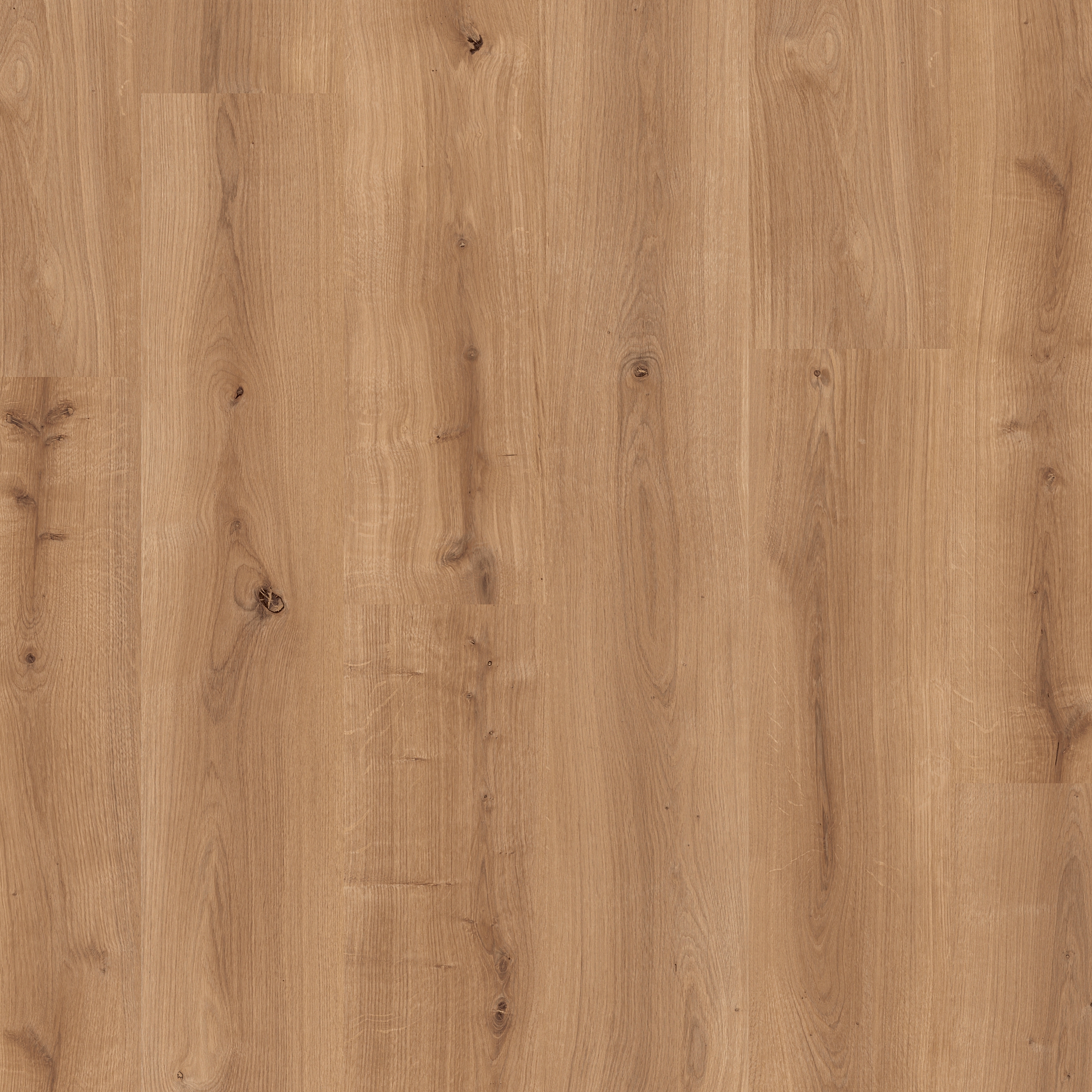 Display product Domestic Extra oak from manufacturer Pergo