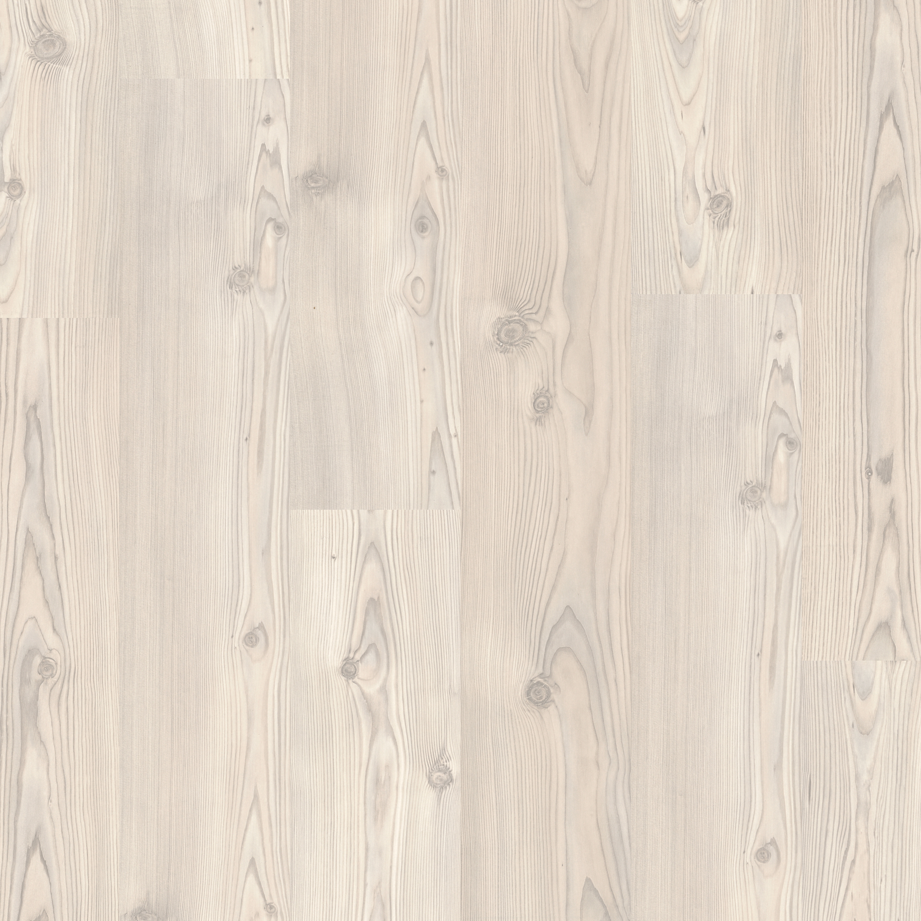 Display product Domestic Extra silver pine from manufacturer Pergo