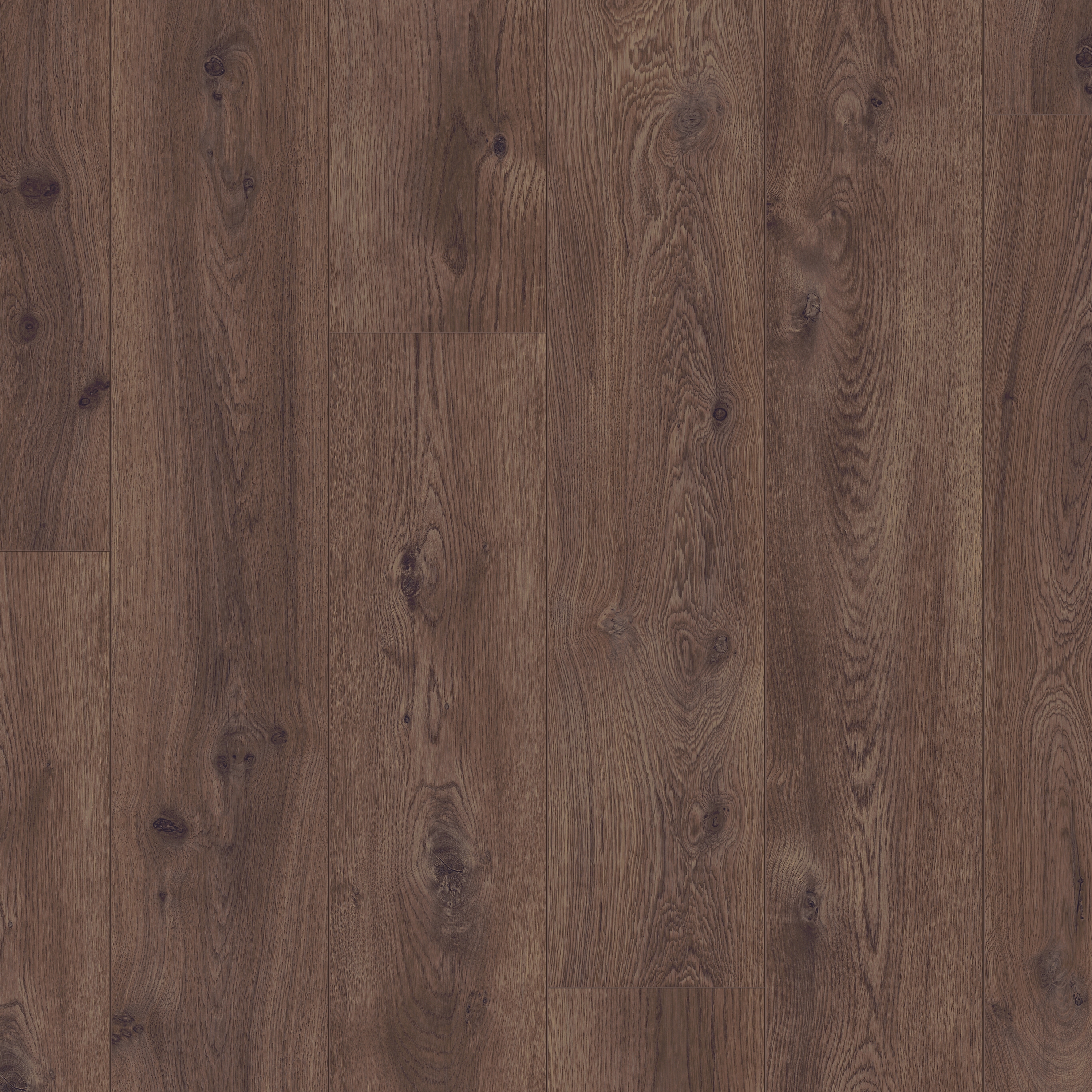 Display product Long Plank chocolate oak from manufacturer Pergo
