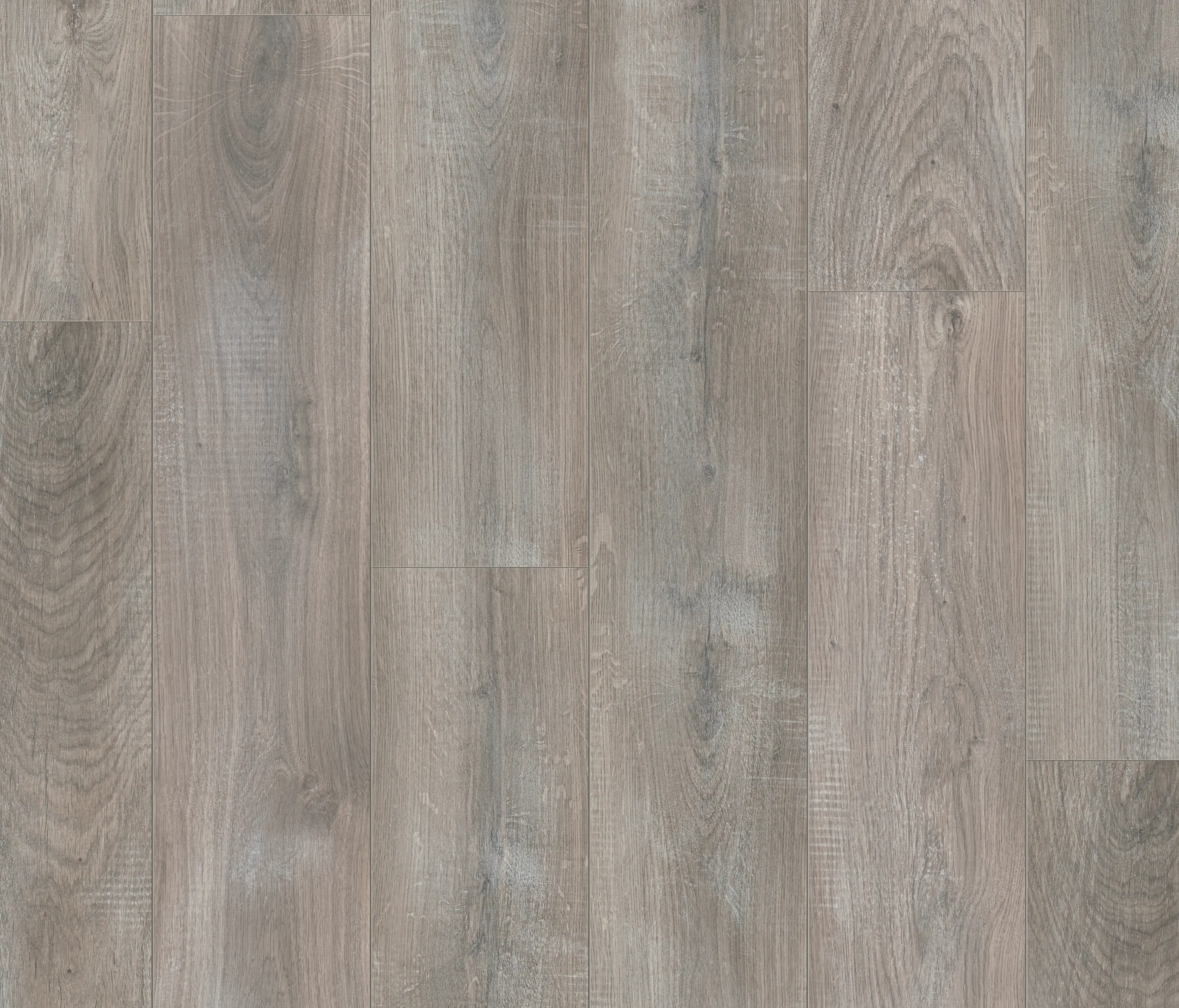 Pergo - Natural Variation chalked grey oak