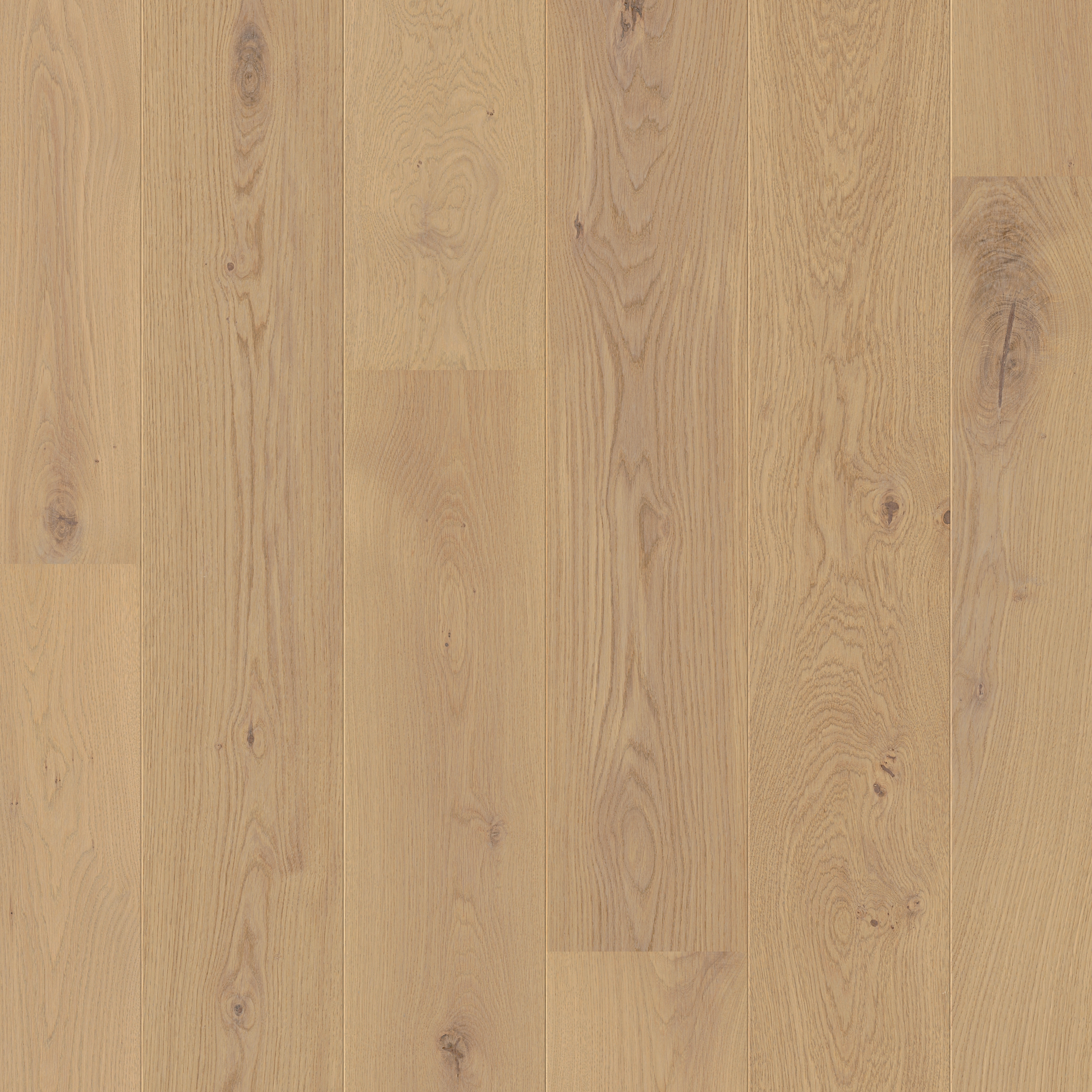 Vertoon produk Gotland forest oak van vervaardiger Pergo
