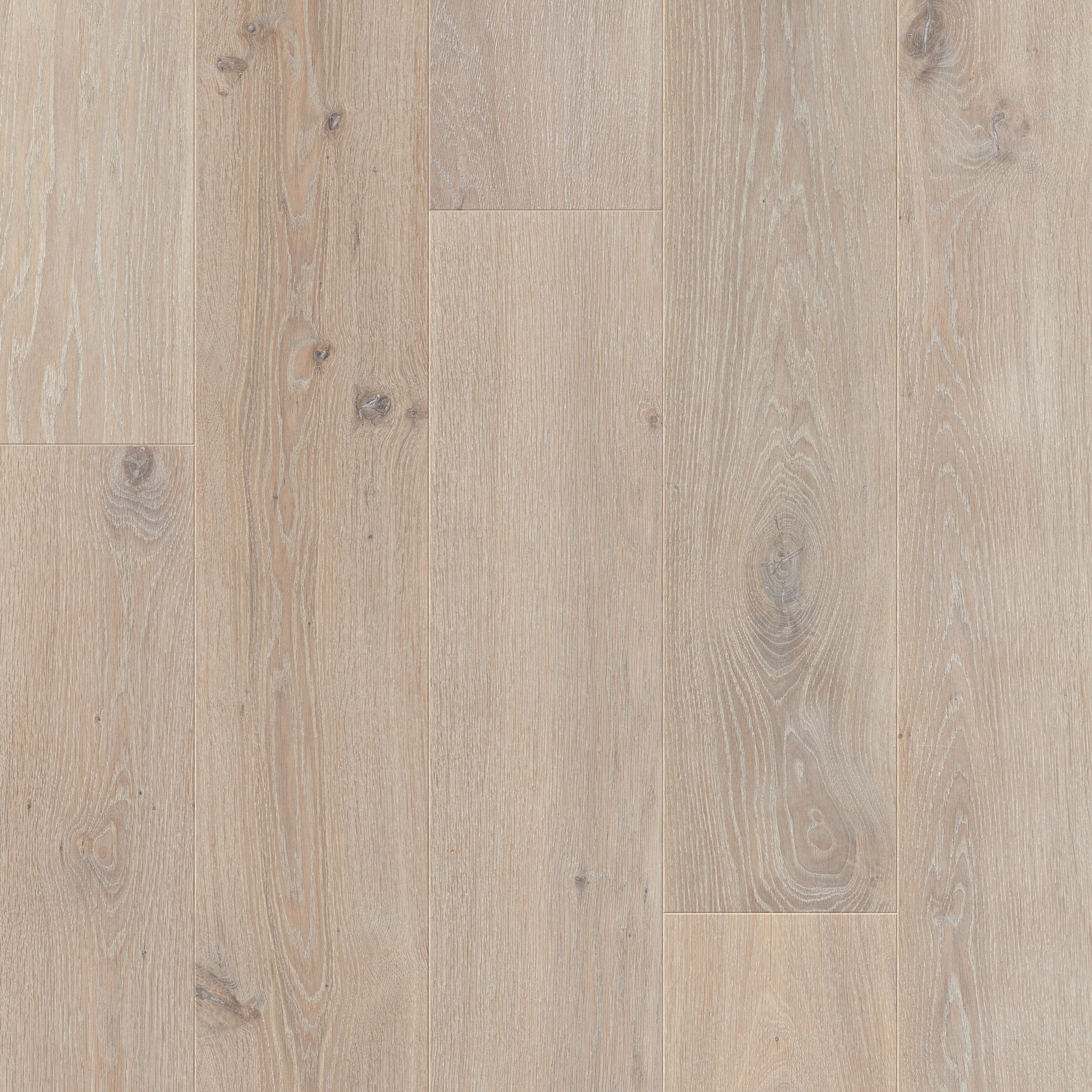 Produkt Svalbard chalked oyster oak des Herstellers Pergo anzeigen